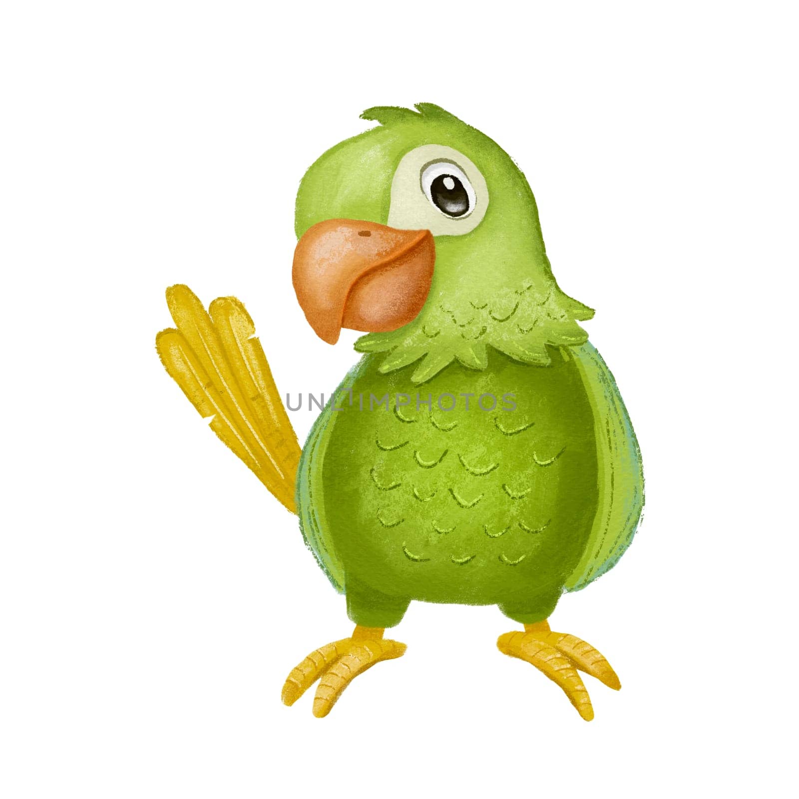 Green parrot bird. Hand drawn cartoon character isolated on white.