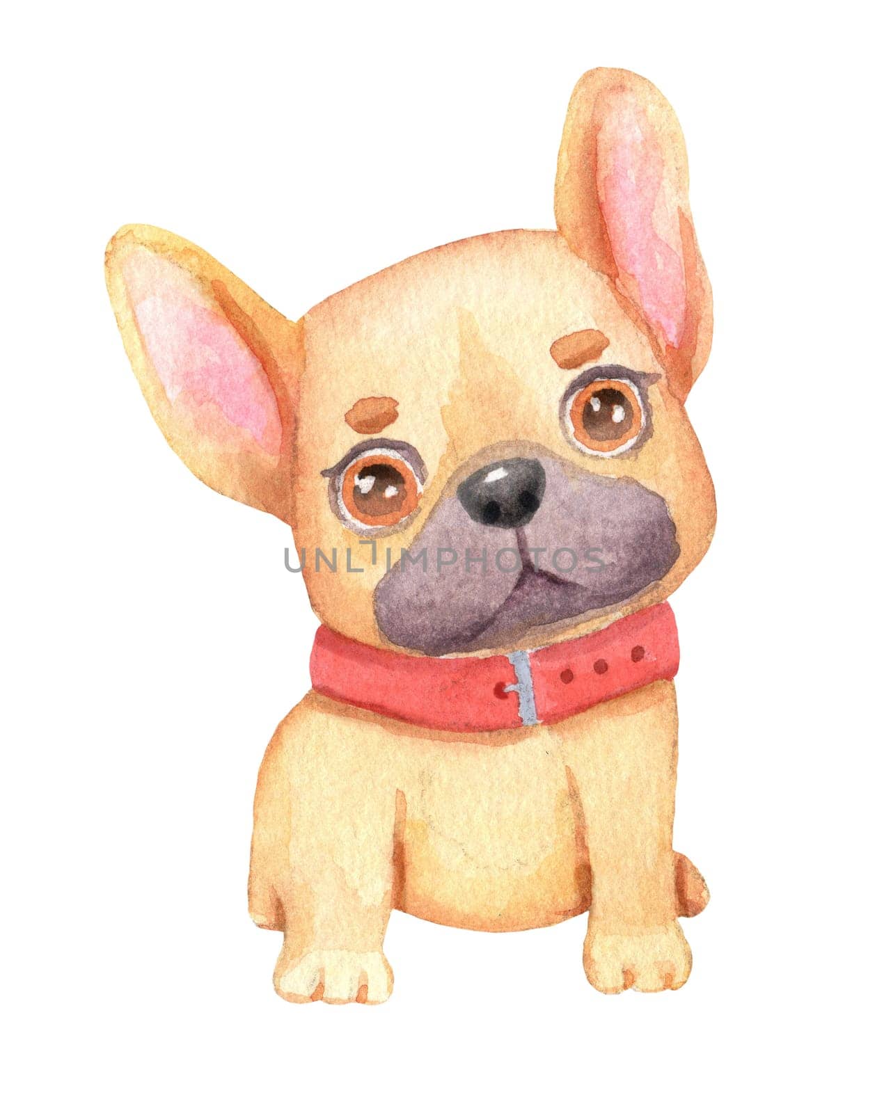 Watercolor cartoon funny french dog. Cute puppy with red collar