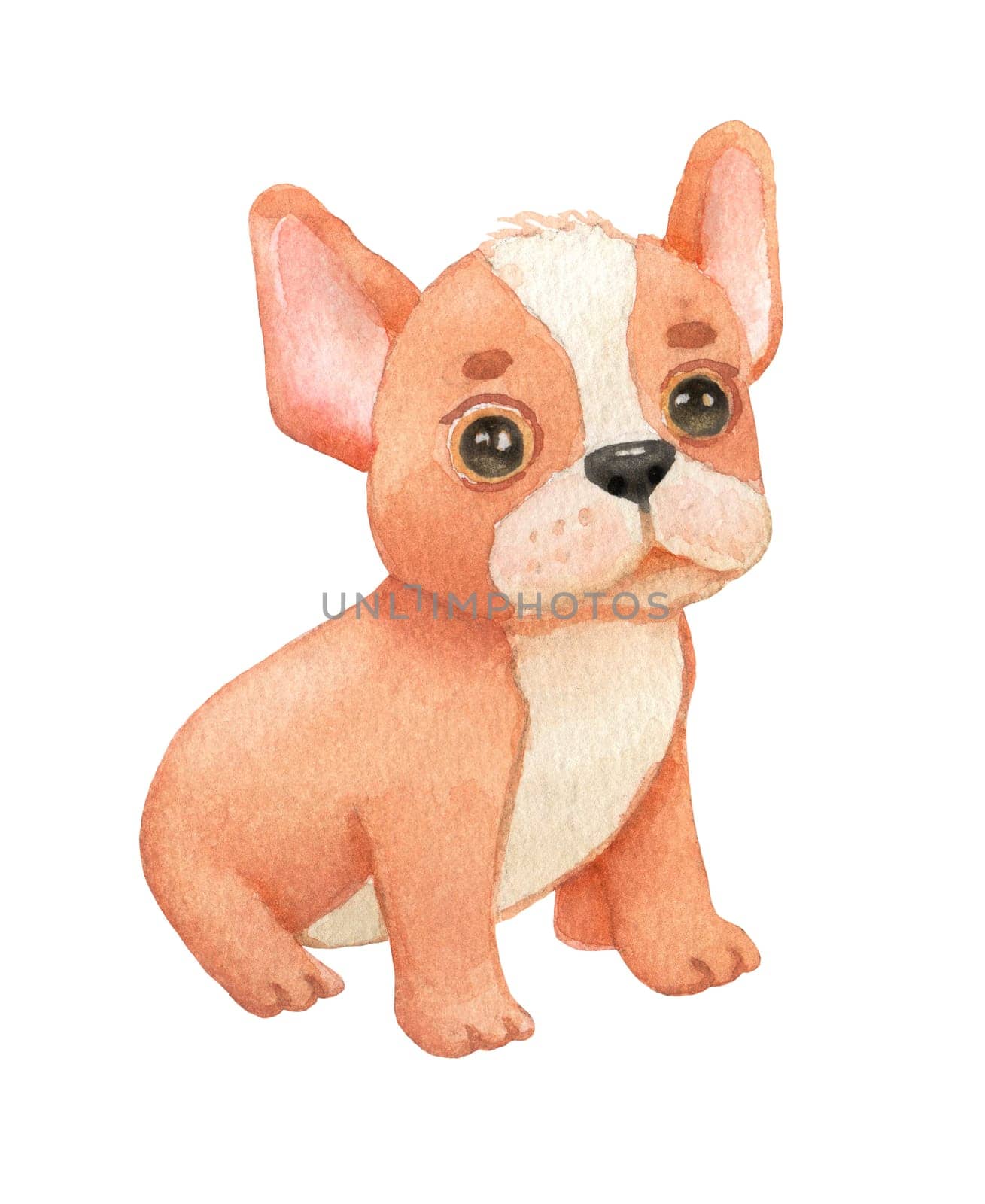 Watercolor cartoon funny french dog. Cute brown puppy isolated on white by ElenaPlatova