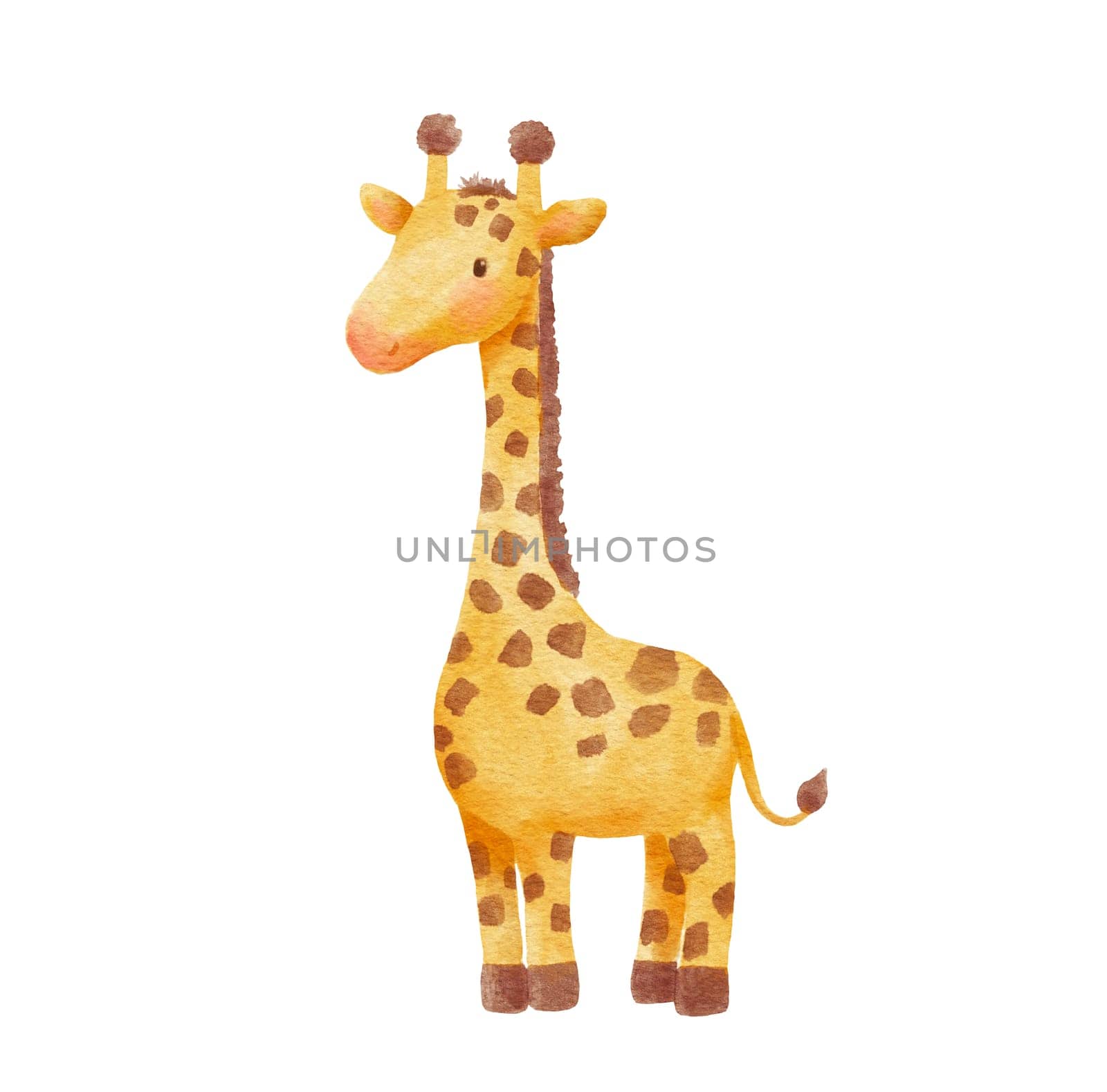 Cute giraffe in cartoon style. Watercolor Drawing african baby wild animal isolated on white background. Jungle safari animal by ElenaPlatova