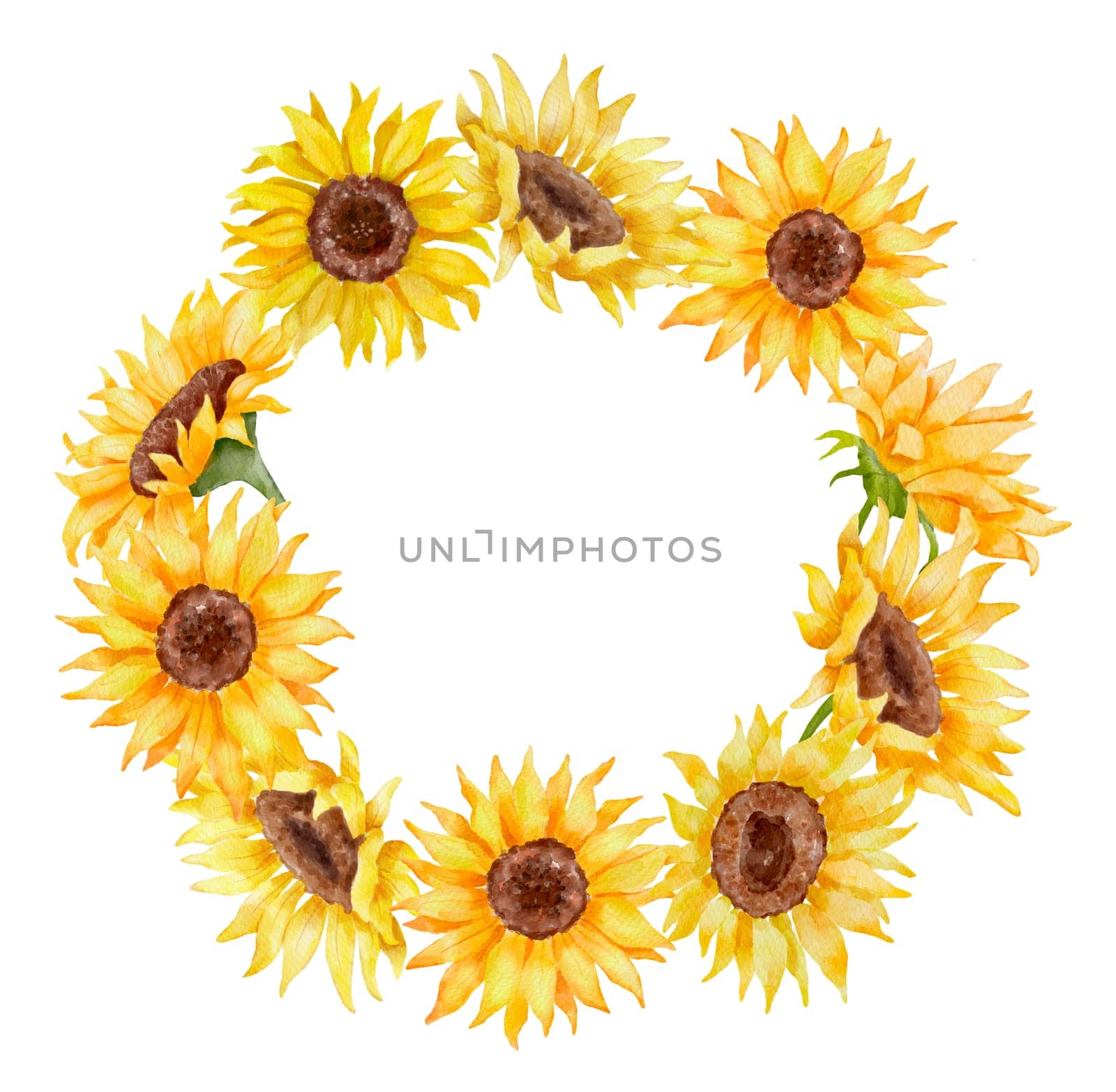 Watercolor sunflowers wreath. Colorful botanical hand drawn round floral frame isolated on white background