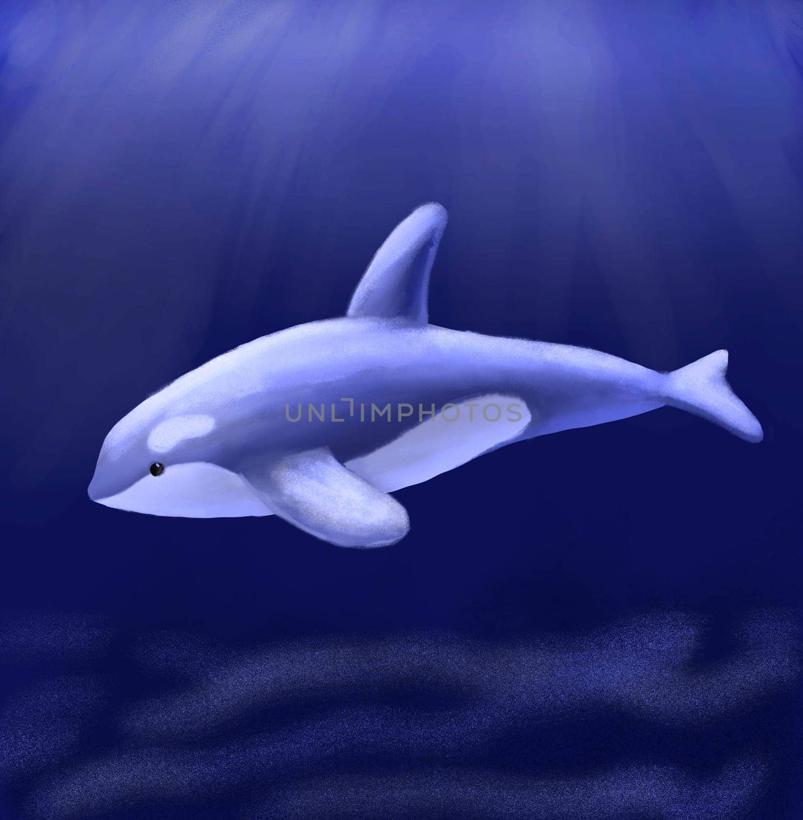 Friendly Killer Whale in sea or ocean. Underwater animal hand drawn painting by ElenaPlatova