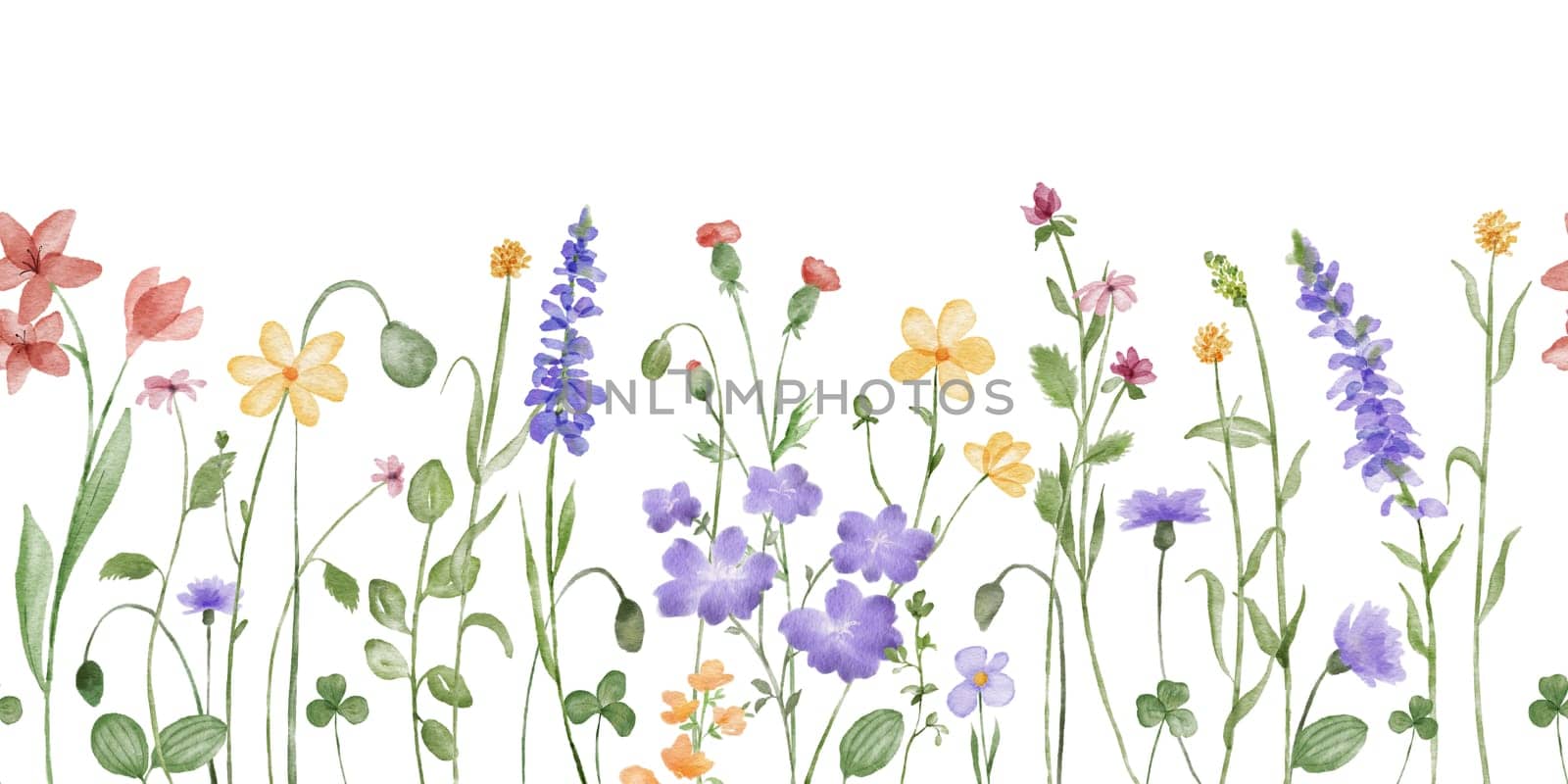 Watercolor floral seamless pattern with wildflowers, plants, leaves and herbs. Horizontal endless border with lavender isolated on white.