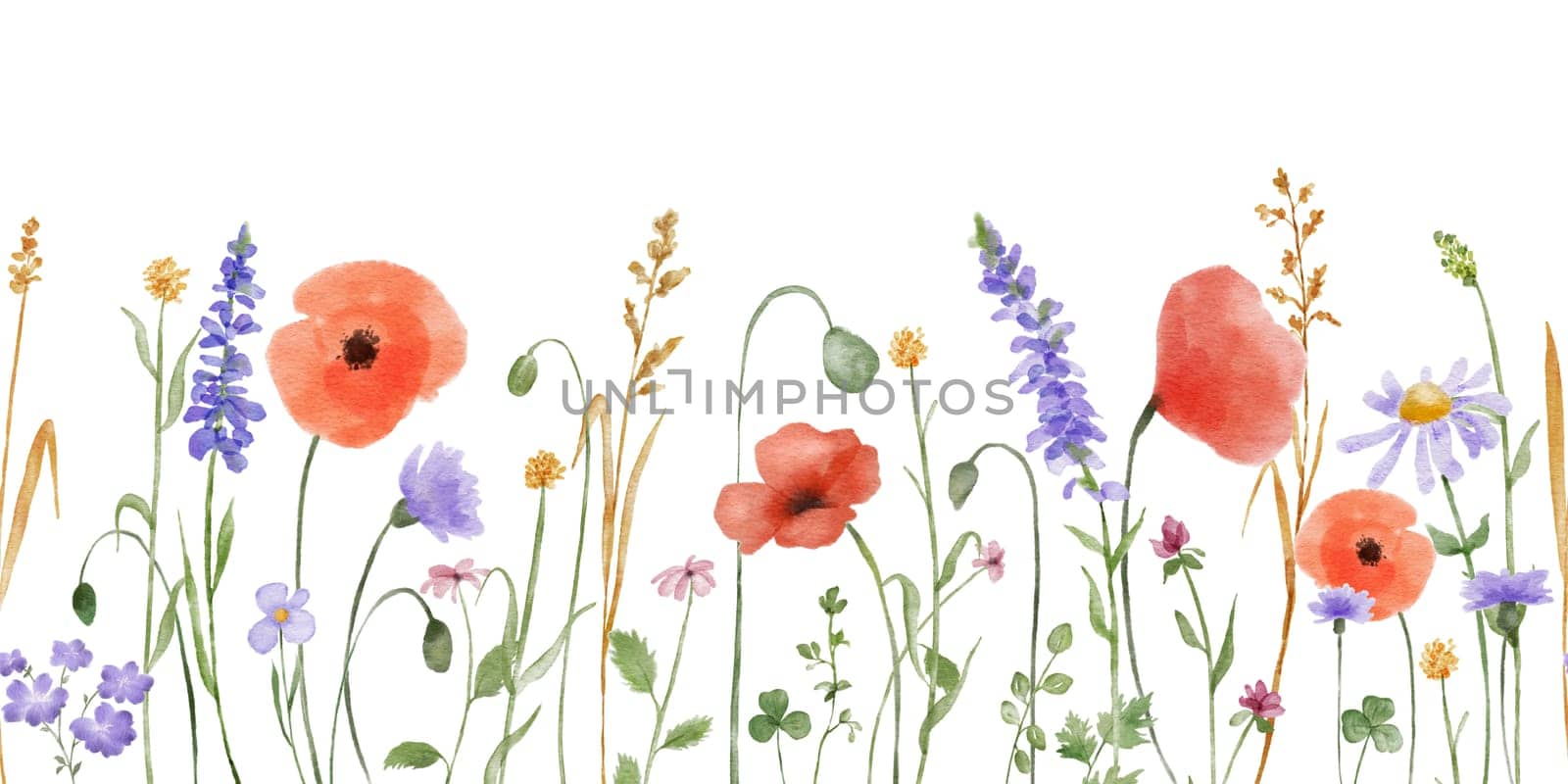 Watercolor floral seamless pattern with wildflowers, plants, leaves and herbs. Horizontal endless border with poppies and lavender isolated on white.
