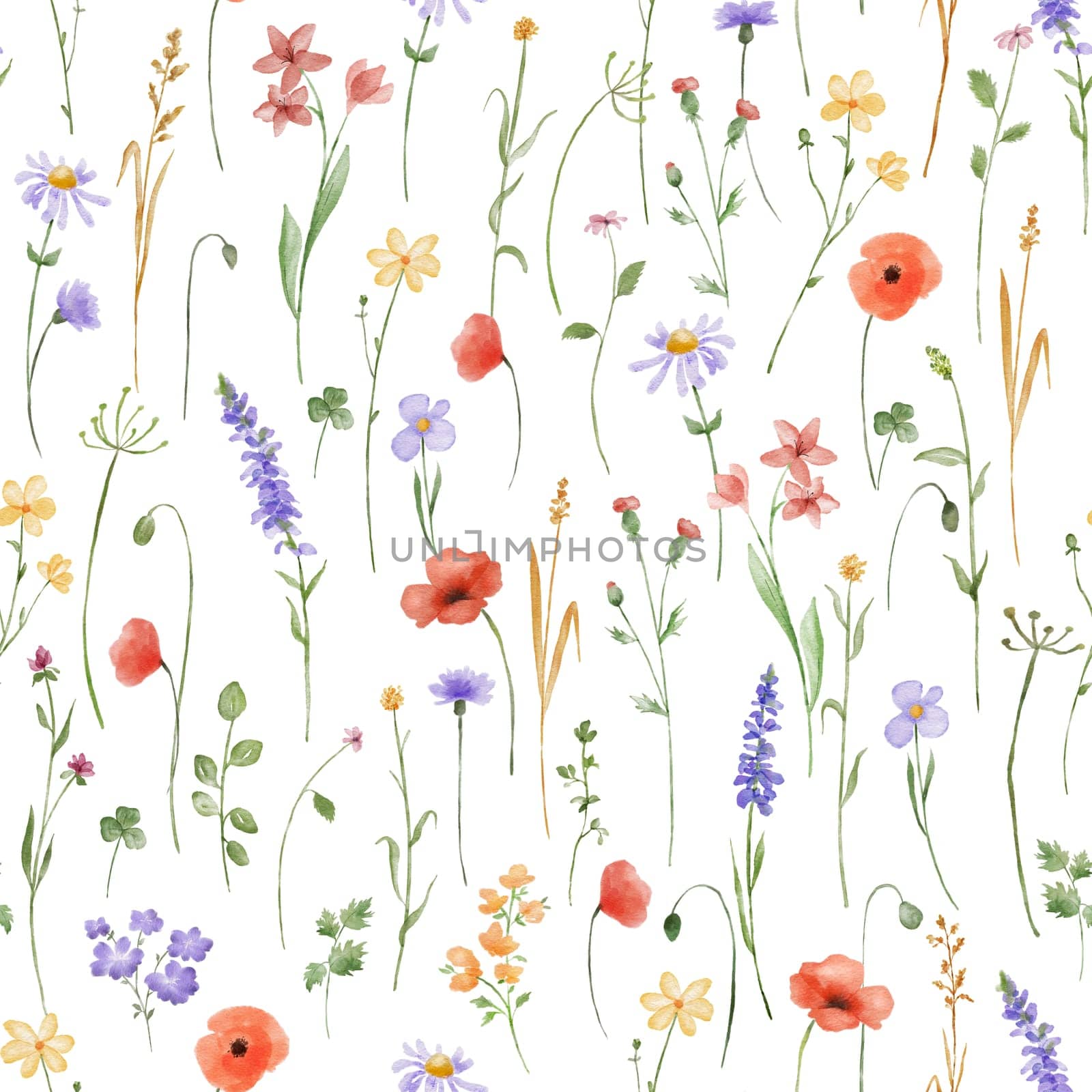 Watercolor floral seamless pattern with flowers poppy and lavender. Spring colorful decor with hand drawn wildflowers on white background