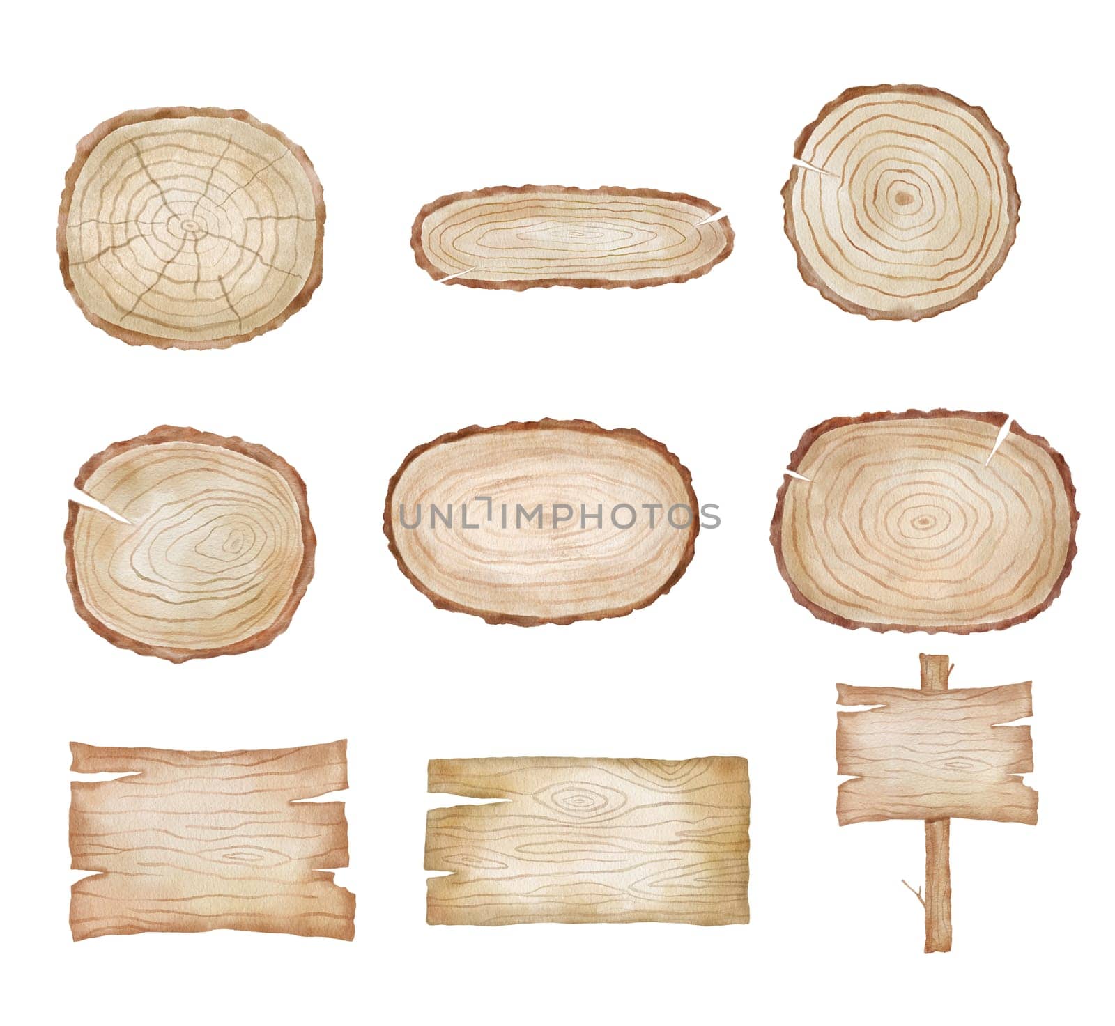 Wooden round and rectangular panel on tree with texture. Watercolor illustration isolated on white.