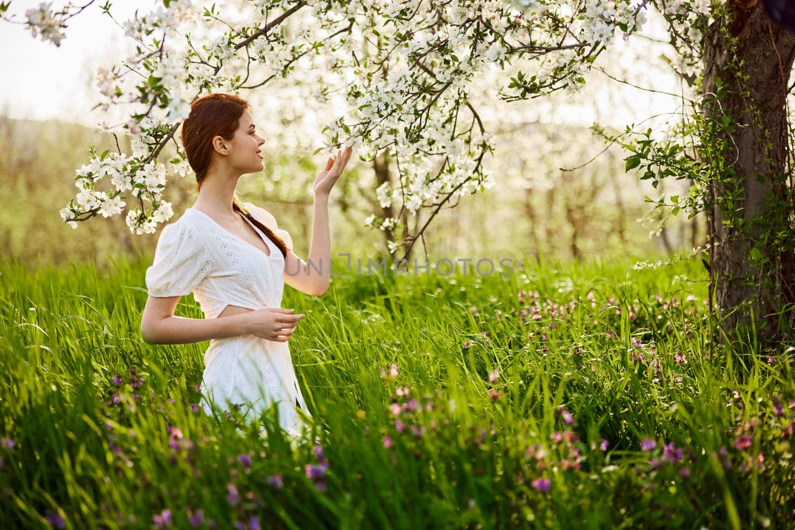 a beautiful woman in a light dress stands next to a flowering tree and smells the flowers by Vichizh