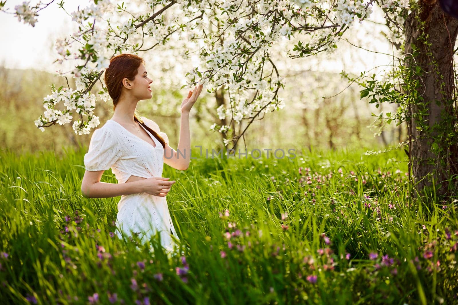 a beautiful woman in a light dress stands next to a flowering tree and smells the flowers. High quality photo