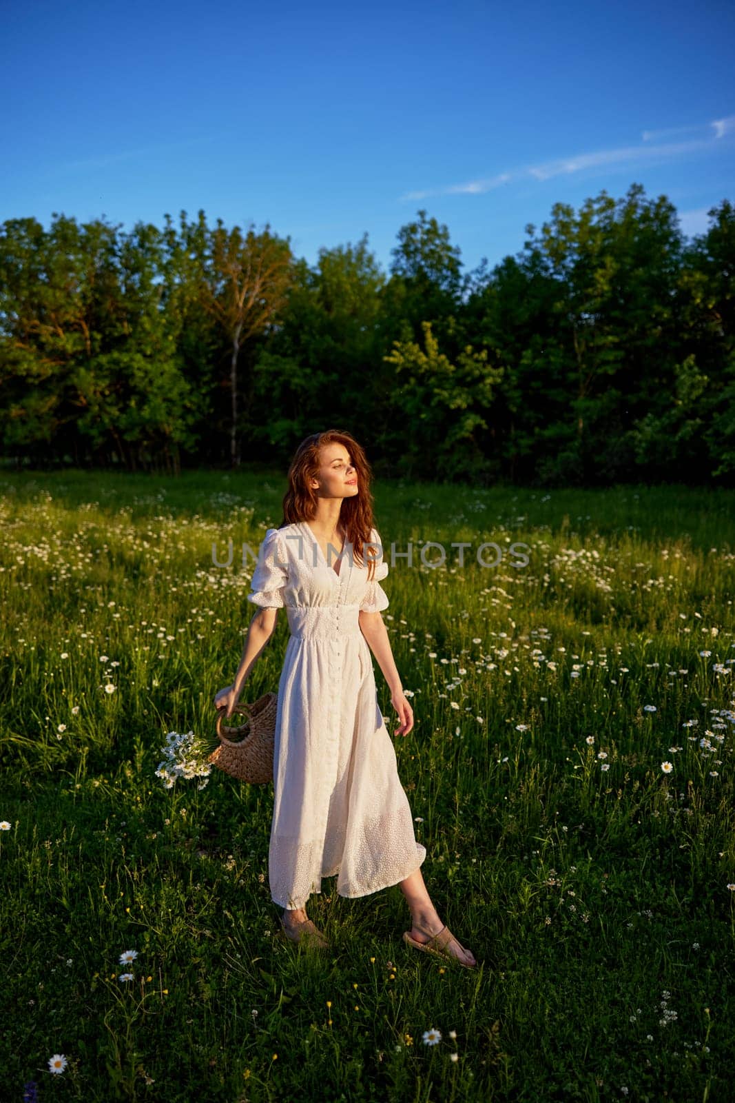 a beautiful woman in a light, light, summer dress is standing in a flowering meadow in the sunset light by Vichizh