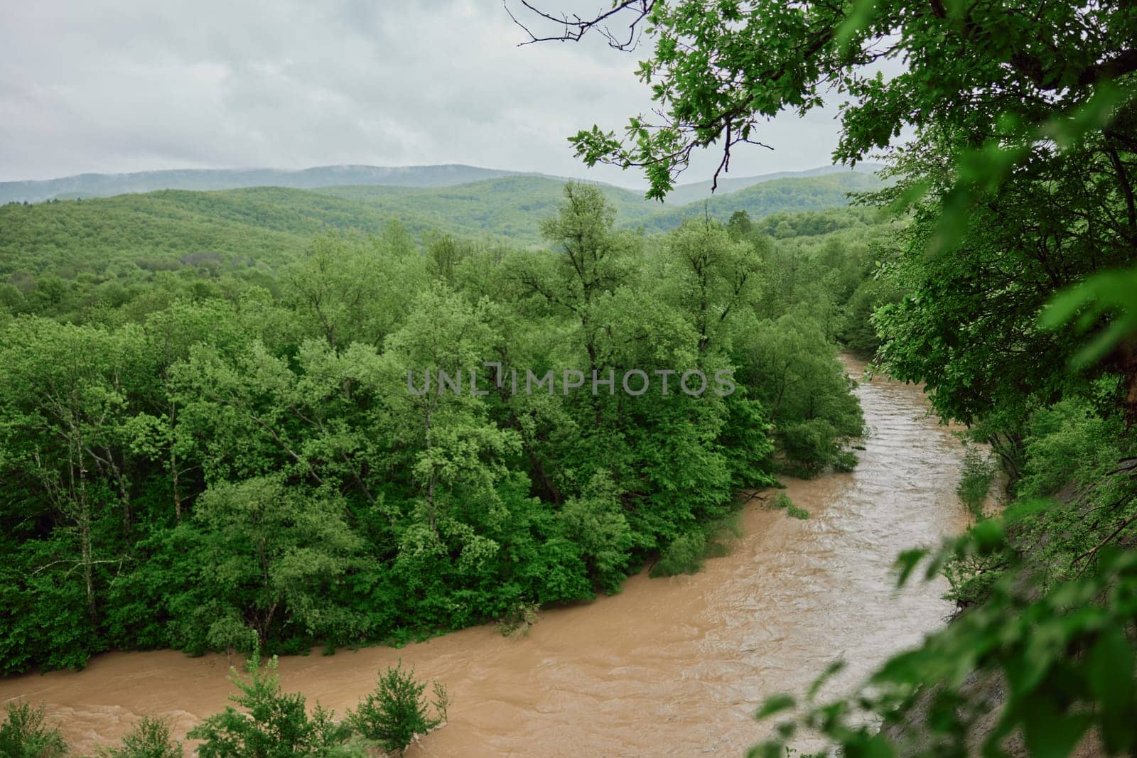 mountain river after rain flows in a forest area by Vichizh