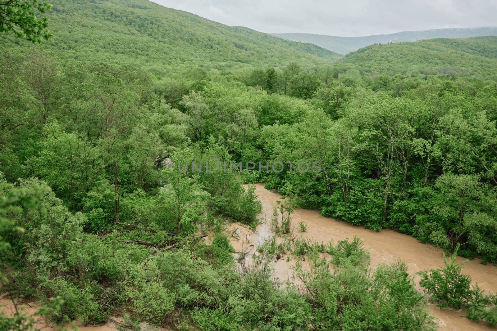 mountain river after rain flows in a forest area. High quality photo