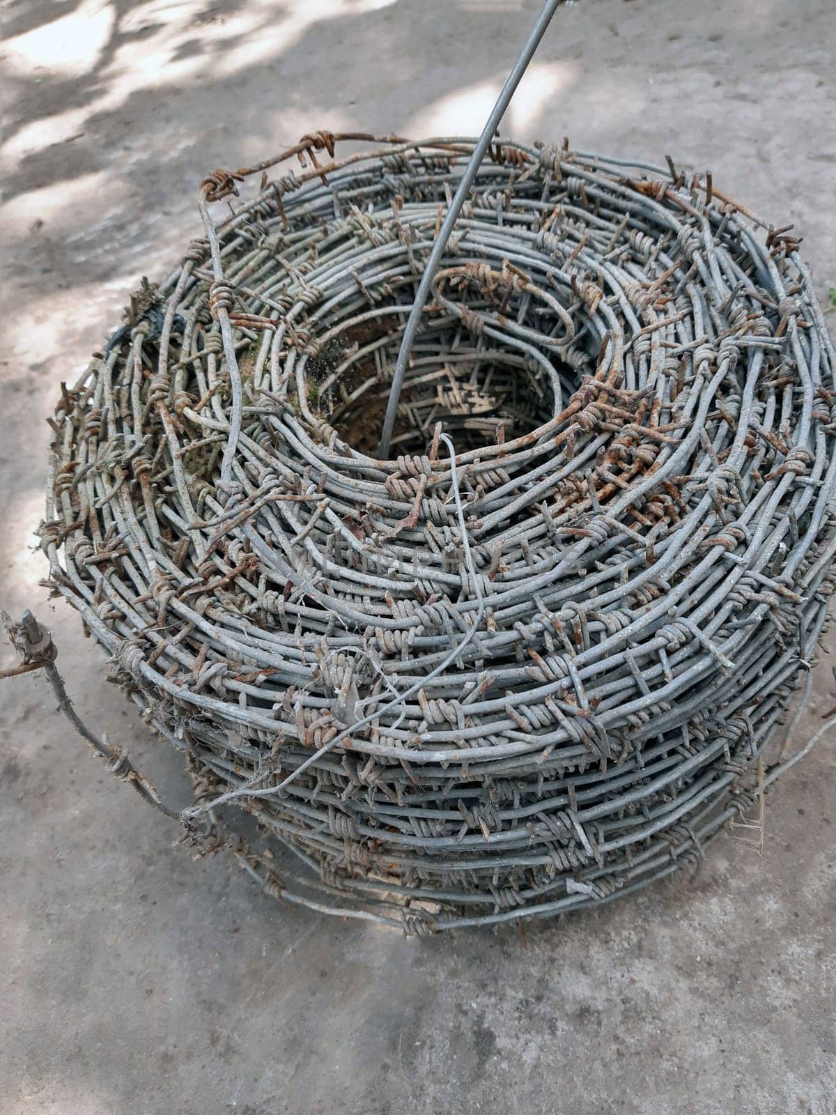 Roll of old barbed wire for fencing close-up on gray concrete in the yard.