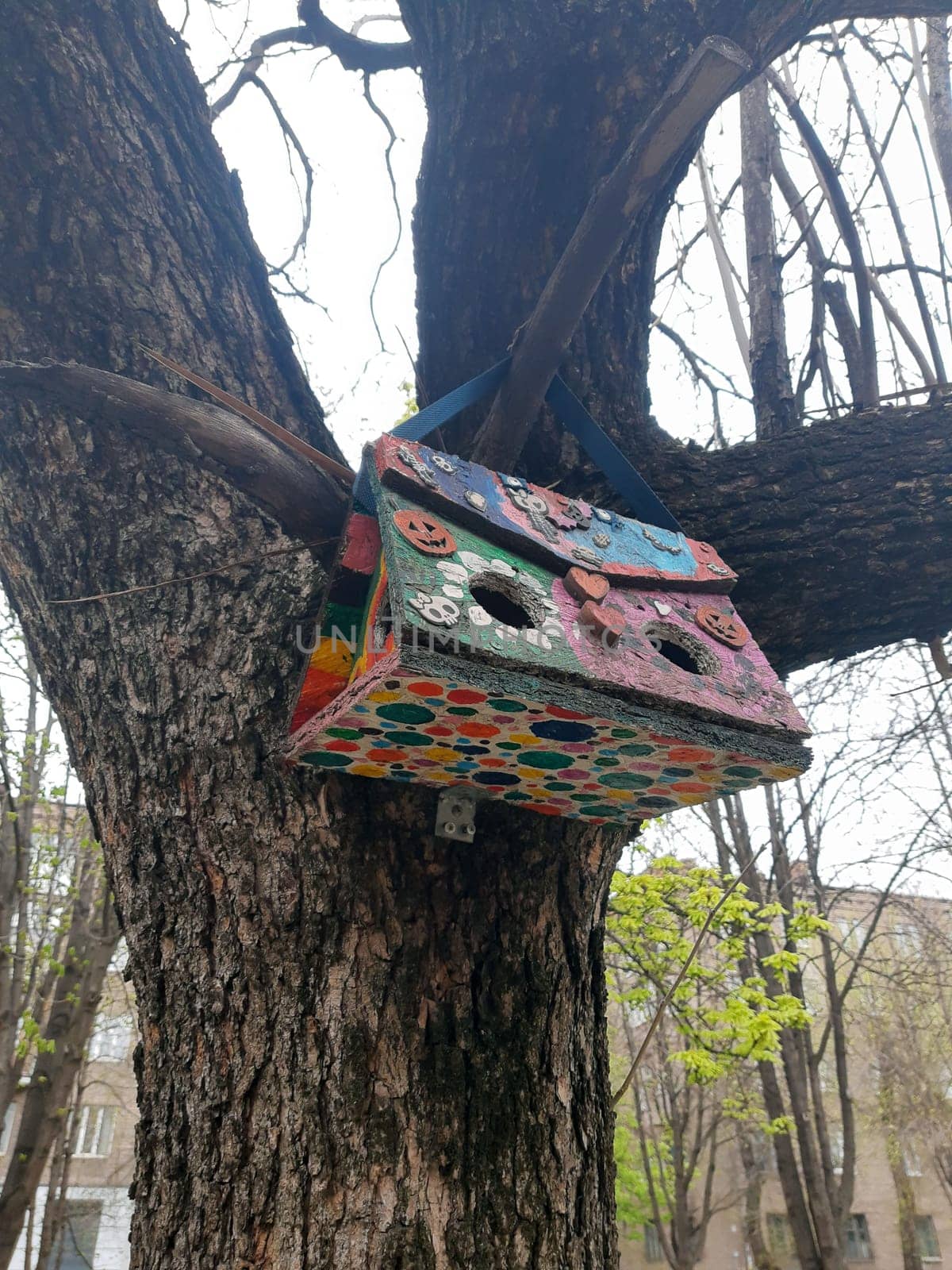 Colorful multi-colored bird feeder on a tree in a city park close-up.