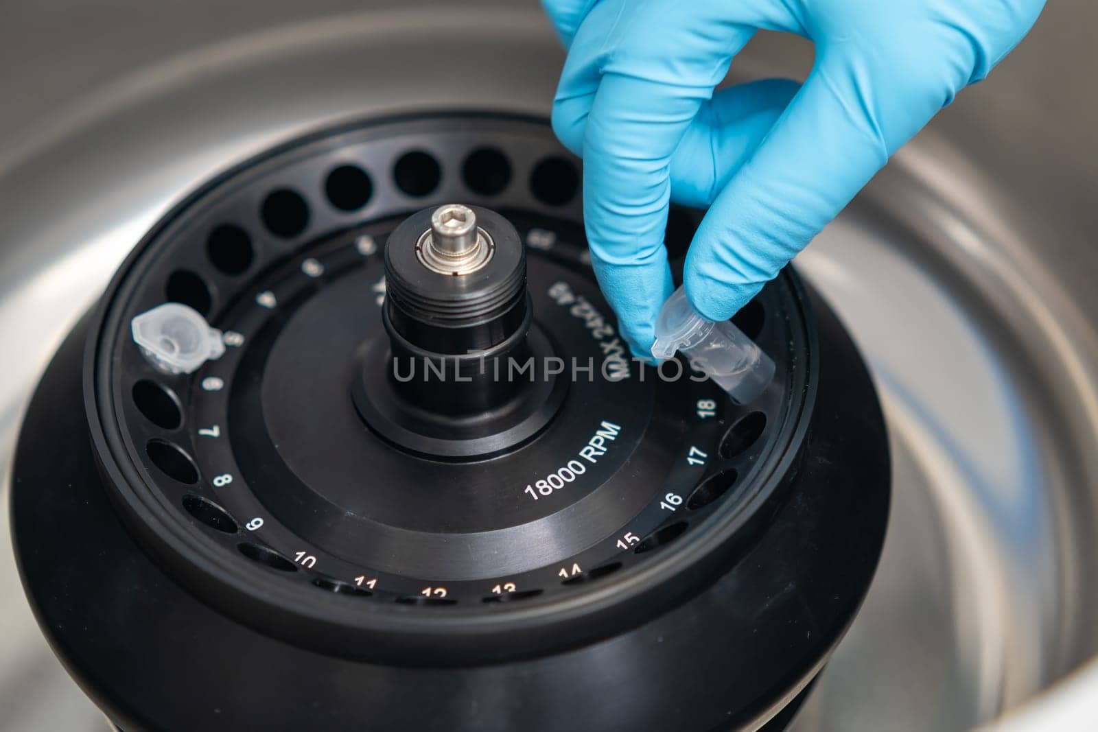 Scientist puts microcentrifuge tubes into centrifuge for phase separation. Blood or serum analysis in clinical laboratory