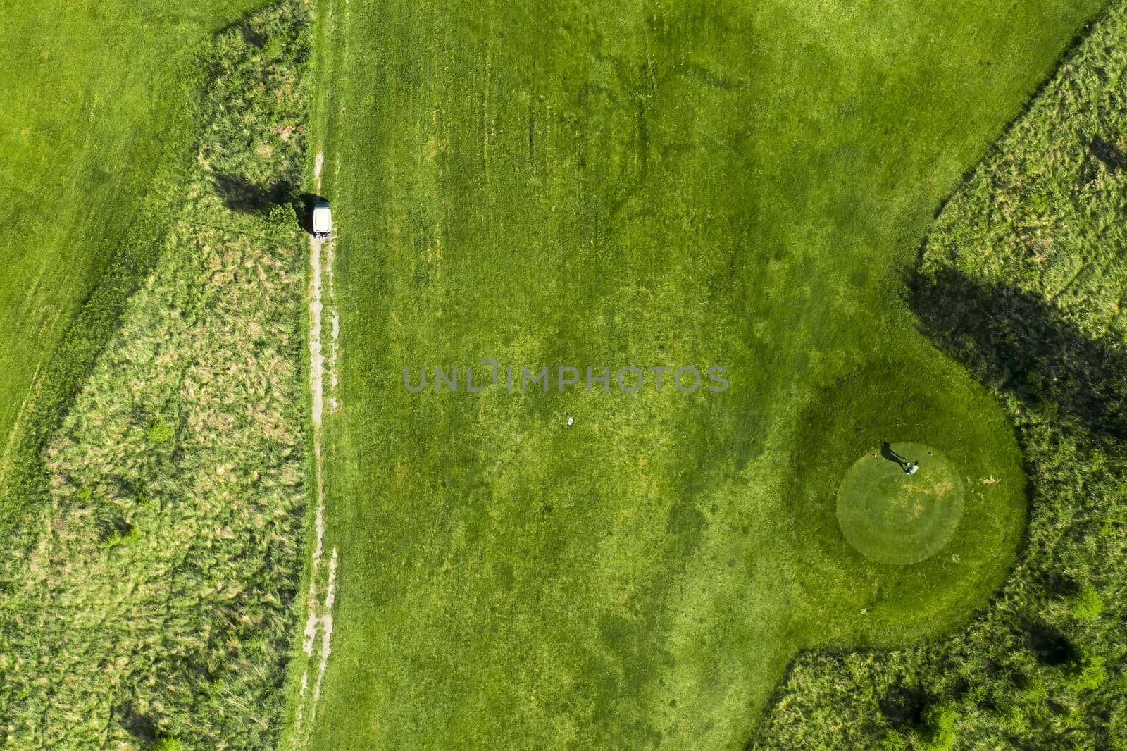 Top view of a green golf field with beautifully cut grass and trees by vladimka