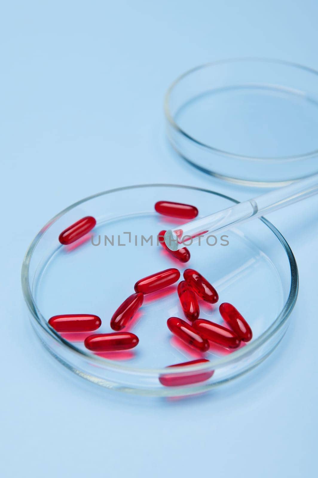 Vertical photo on blue background of a lab stick on petri dish with gel capsules with fat-soluble vitamin E. Clinical research. Pharmacology. Pharmaceutical industry. Medicines and prescription pills