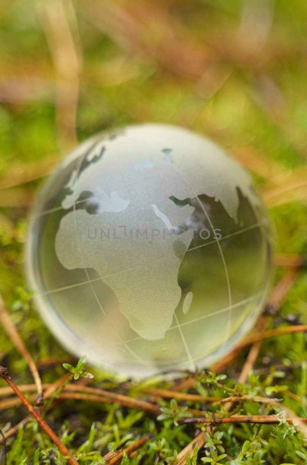 Ecology and planet concept. There is a glass globe on the green moss.
