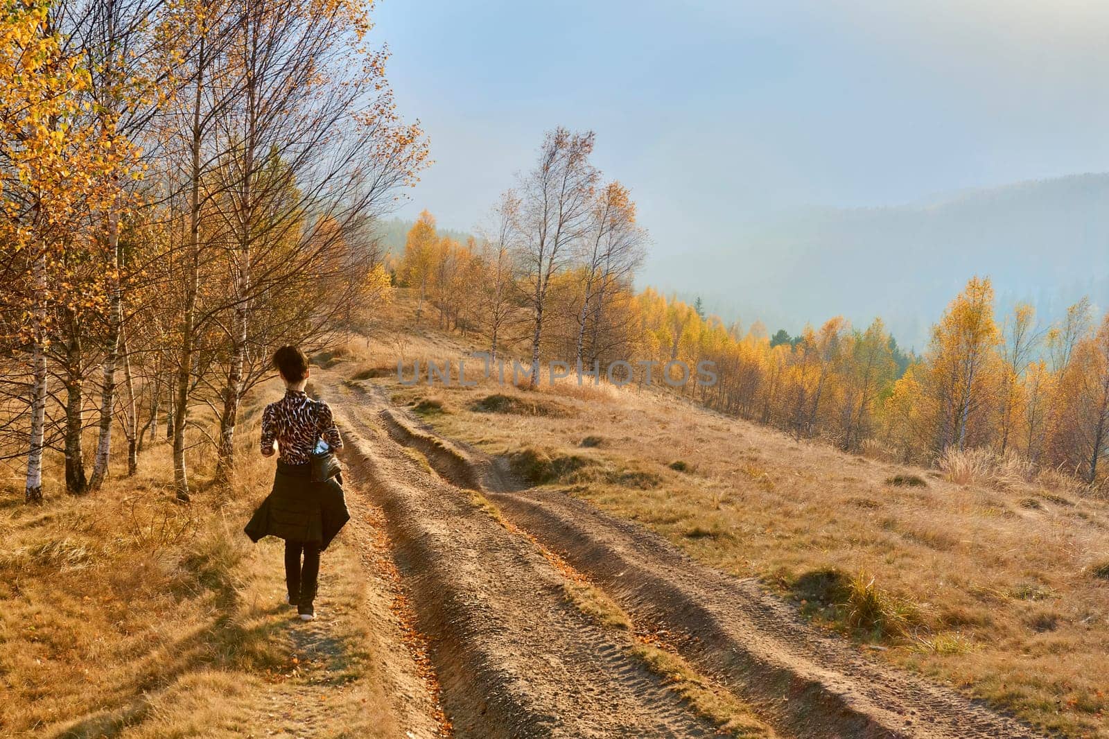 A girl hiking walks a dirt road in the mountains in haze on a golden autumn day by jovani68