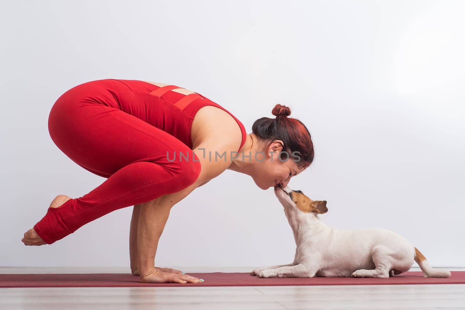 Caucasian woman practices yoga in a red bodysuit with her dog Jack Russell Terrier on a white background. The girl stands in the bokasana pose.