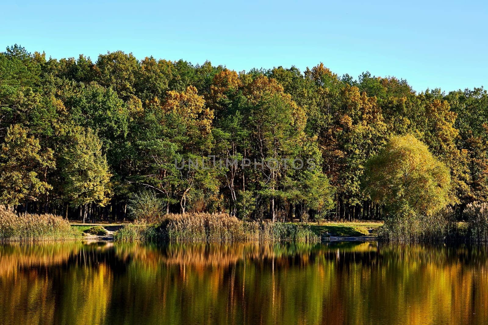 Autumn is the most colorful time of the year from all seasons, when nature changes its usual appearance to golden colors