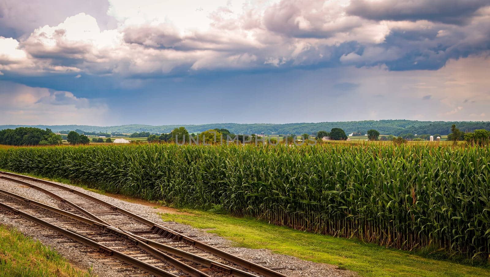 A Landscape of Corn Stalks and Farmlands Behind Rail Road Tracks With a Stormy Sky on a Summer Day
