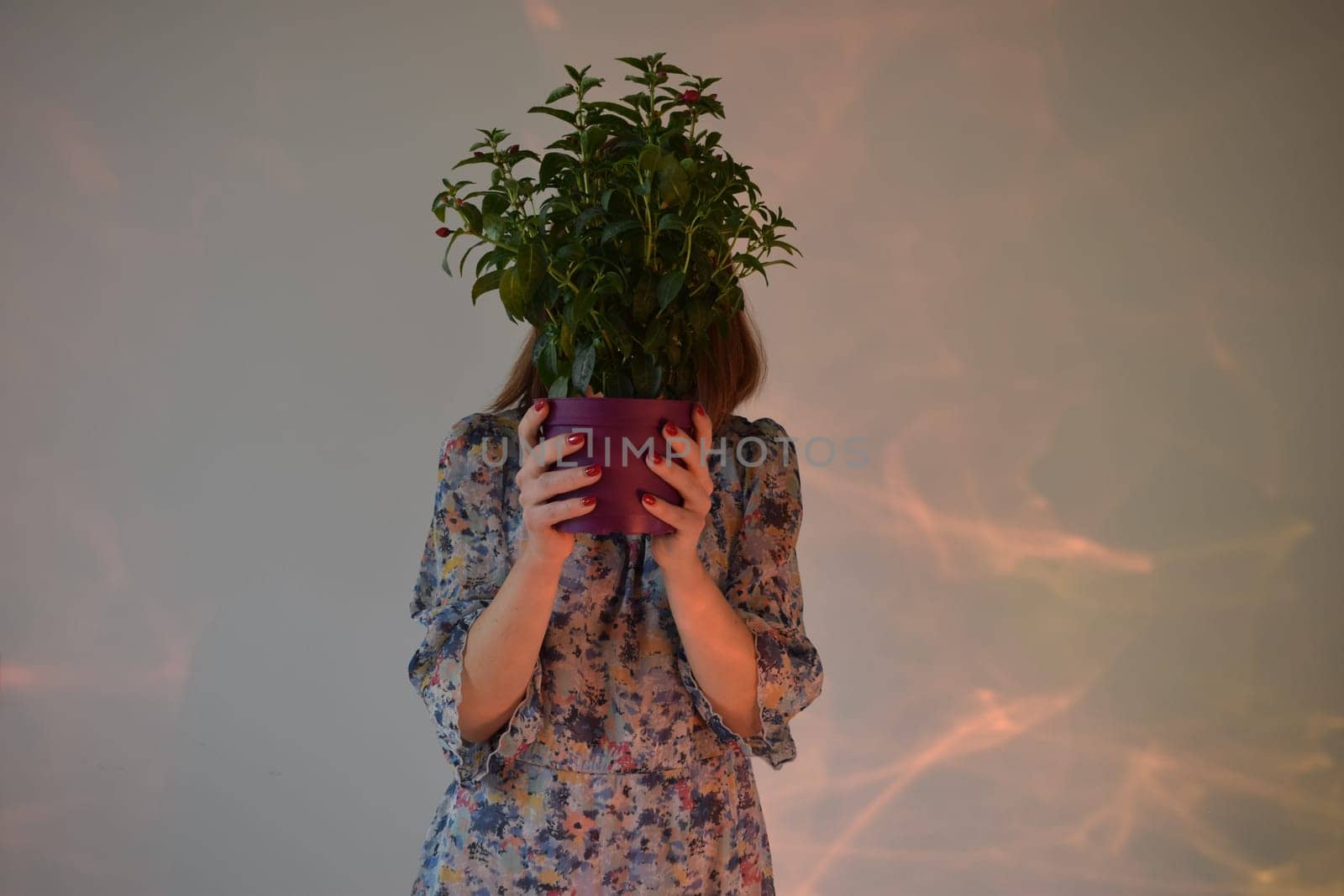 Beautiful girl with a dark face hiding behind a vase of flowers, on a white background.