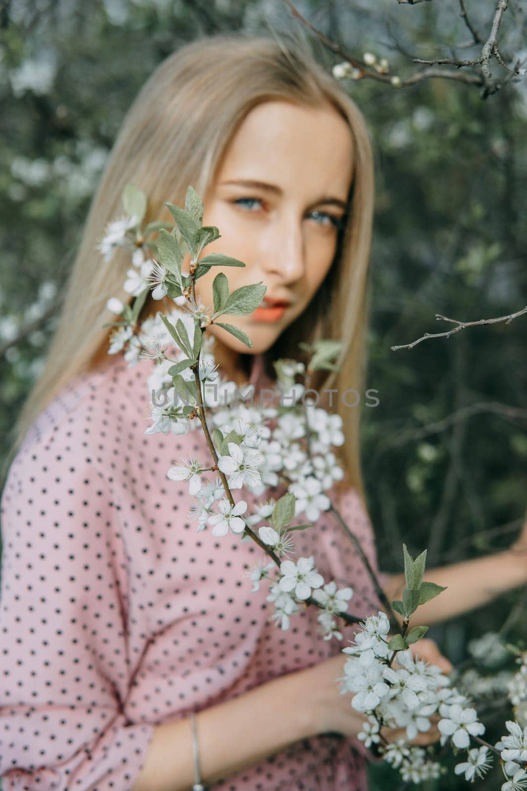 Blonde girl on a spring walk in the garden with cherry blossoms. Female portrait, close-up. A girl in a pink polka dot dress. by Annu1tochka