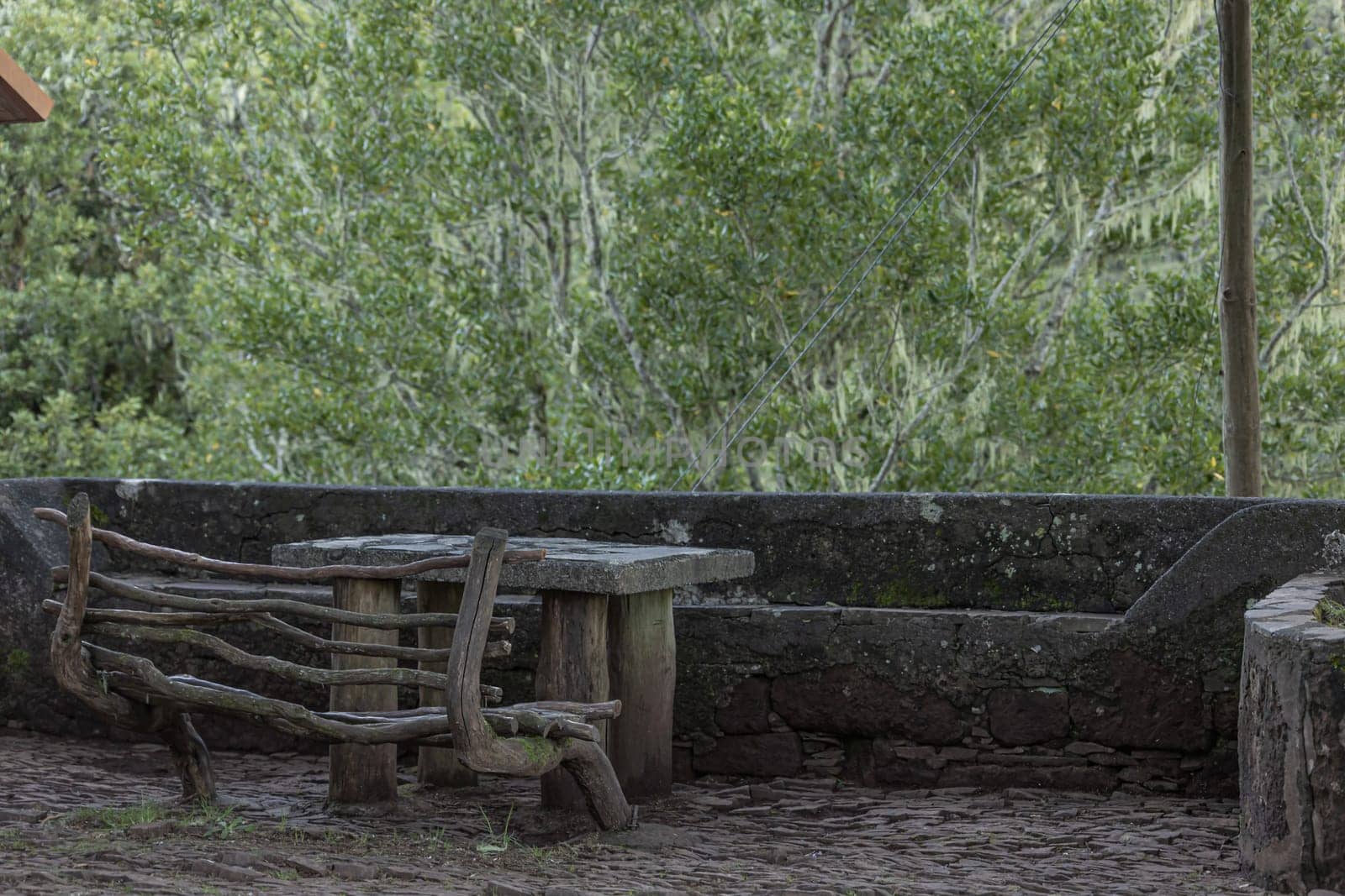 A Wooden bench and a stone table in a park surrounded by trees and lush foliage