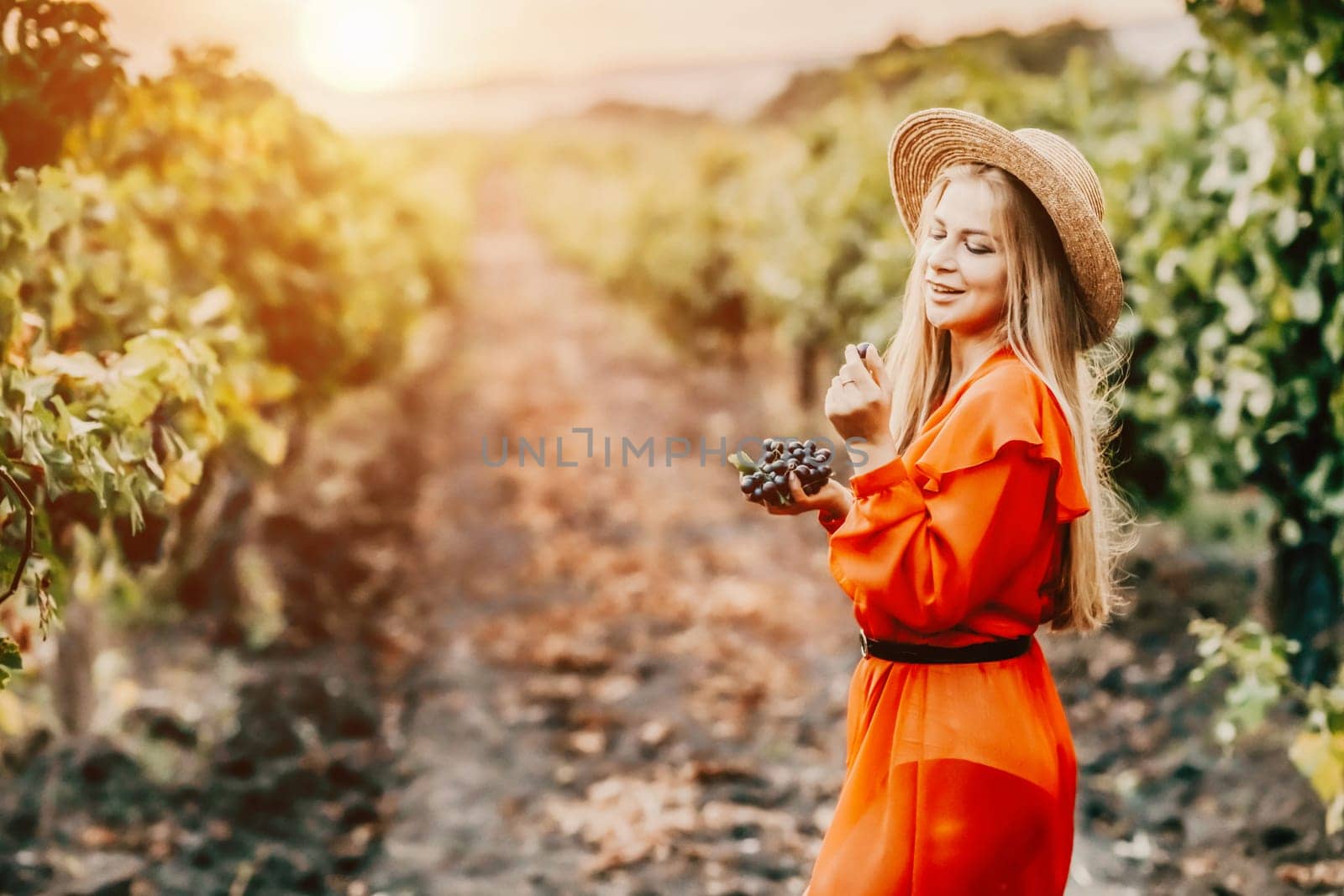 Portrait of a happy woman in summer vineyards at sunset. a woman in a hat and a red dress holds black grapes in her hands.