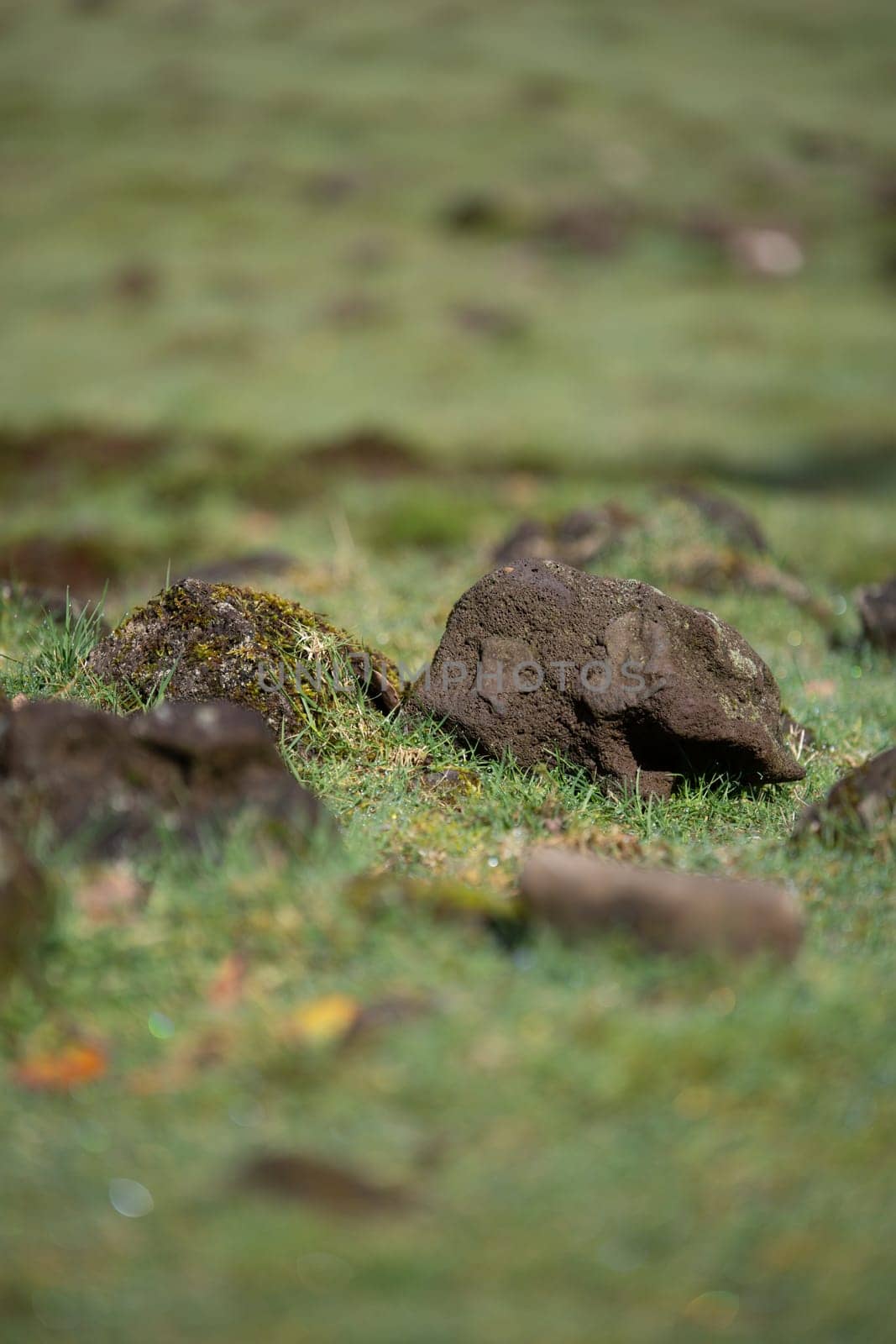 A scenic view of natural rocks covered in lush green moss, in a field of lush green grass and dirt