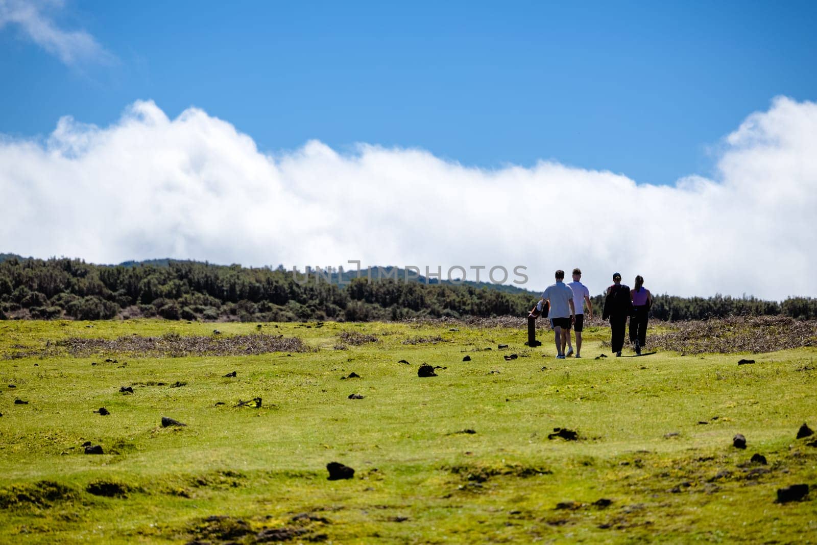 A diverse group of people, including both adults and children, are walking together across a lush, green grassy field under an overcast sky