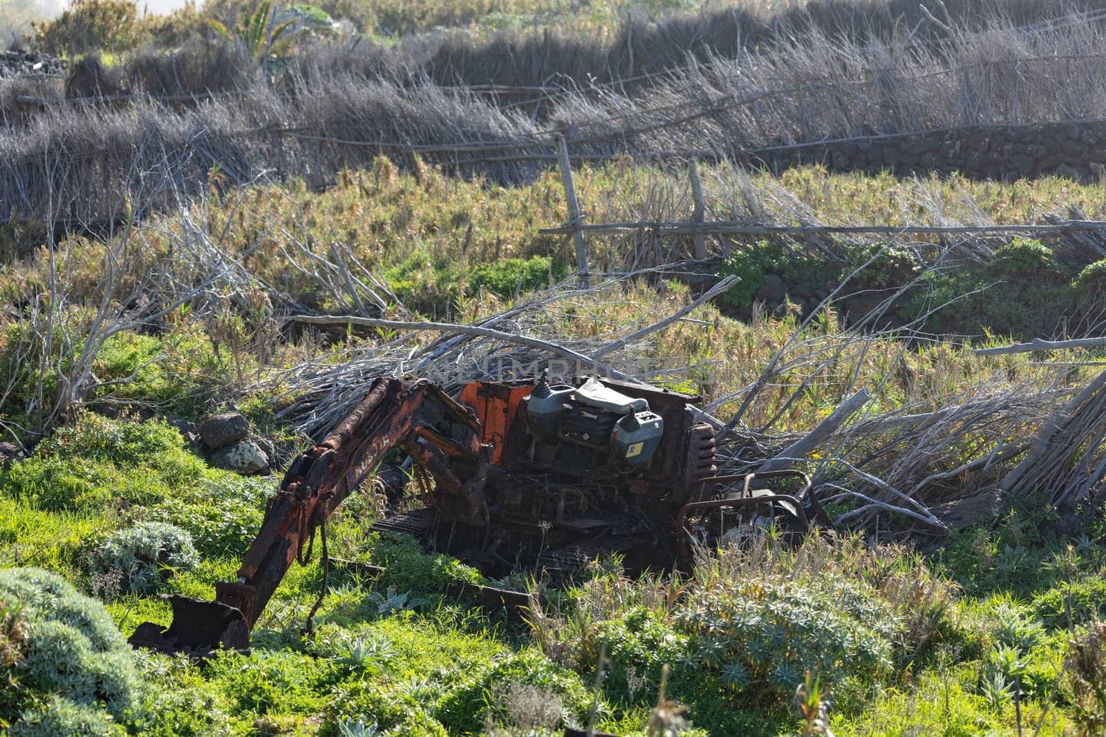 A old rusty tractor resting in an idyllic rural field, with lush green foliage and a shrub providing a rustic backdrop