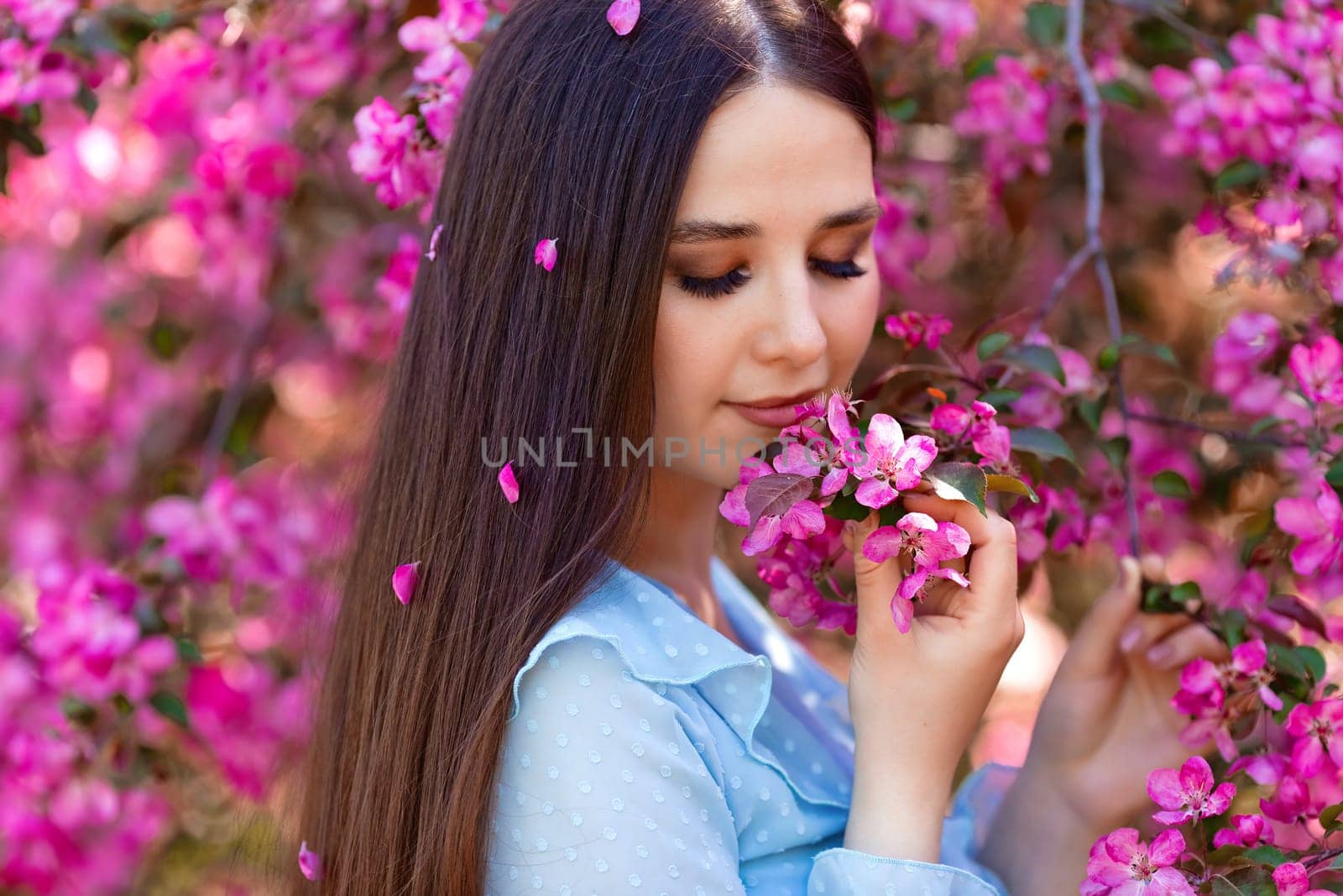 A beautiful brunette girl with pink petals in her long hair stands near a pink blooming apple tree, on a sunny day.