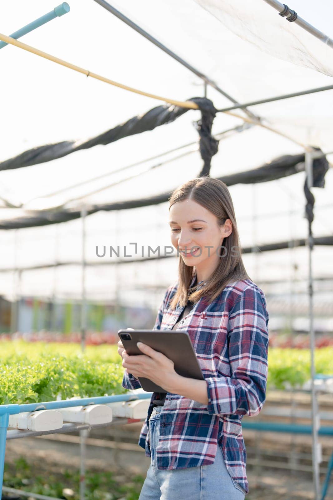 Female Farmer harvesting vegetable and audit quality from hydroponics farm. Organic fresh vegetable, Farmer working with hydroponic vegetables garden harvesting, small business concepts