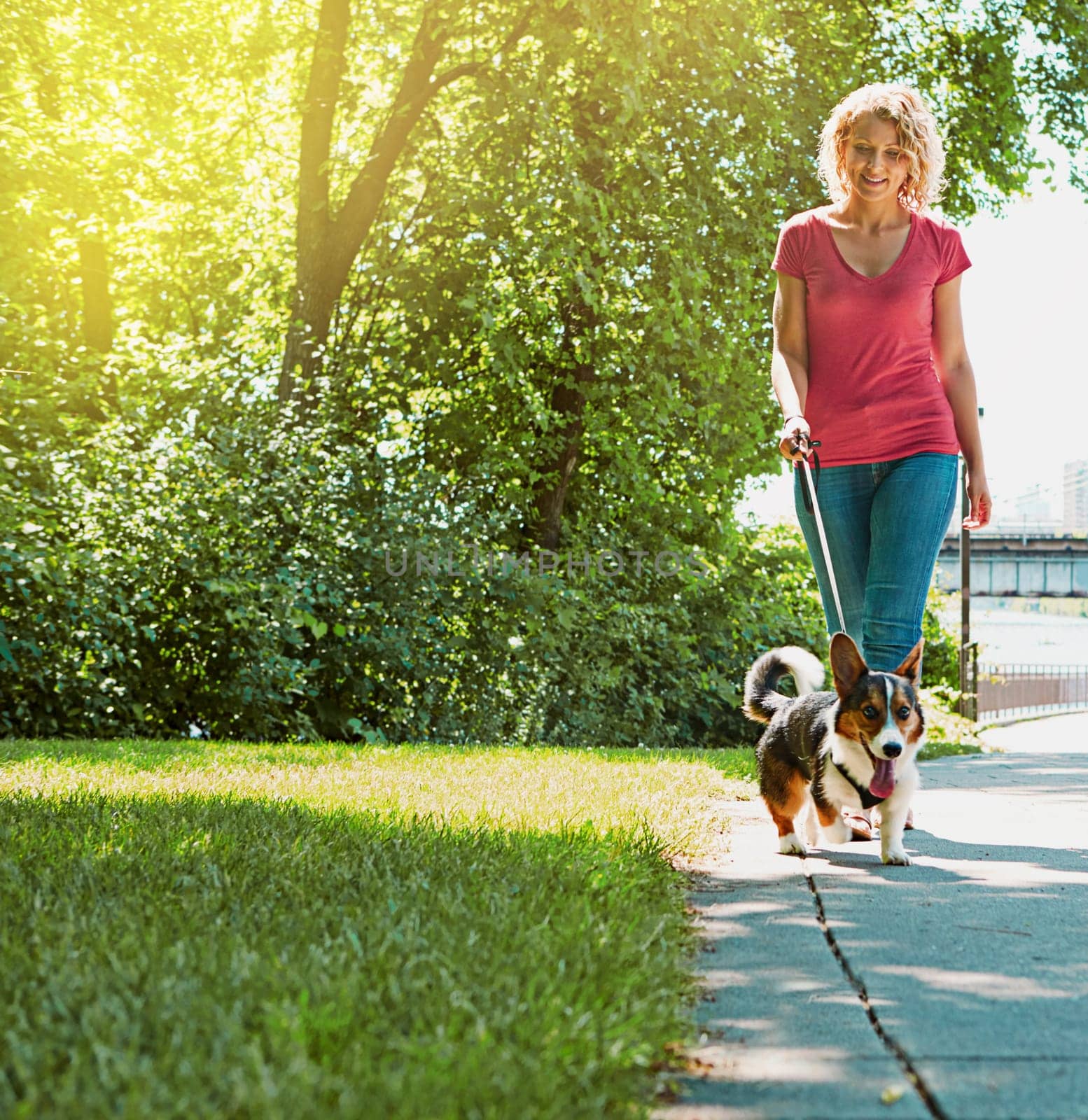 Strolling through the park is even better when its shared. an attractive young woman walking her dog in the park