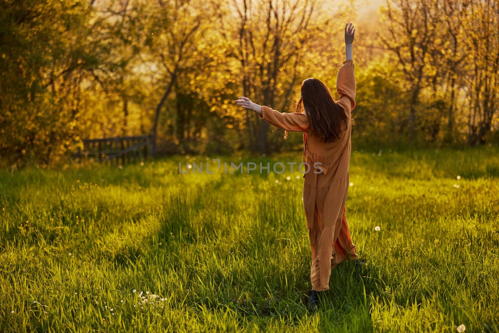 a slender woman with long hair stands in a field with her back to the camera, illuminated by the rays of the setting sun and joyfully raises her hands up. Horizontal photography on the theme of unity with nature. High quality photo