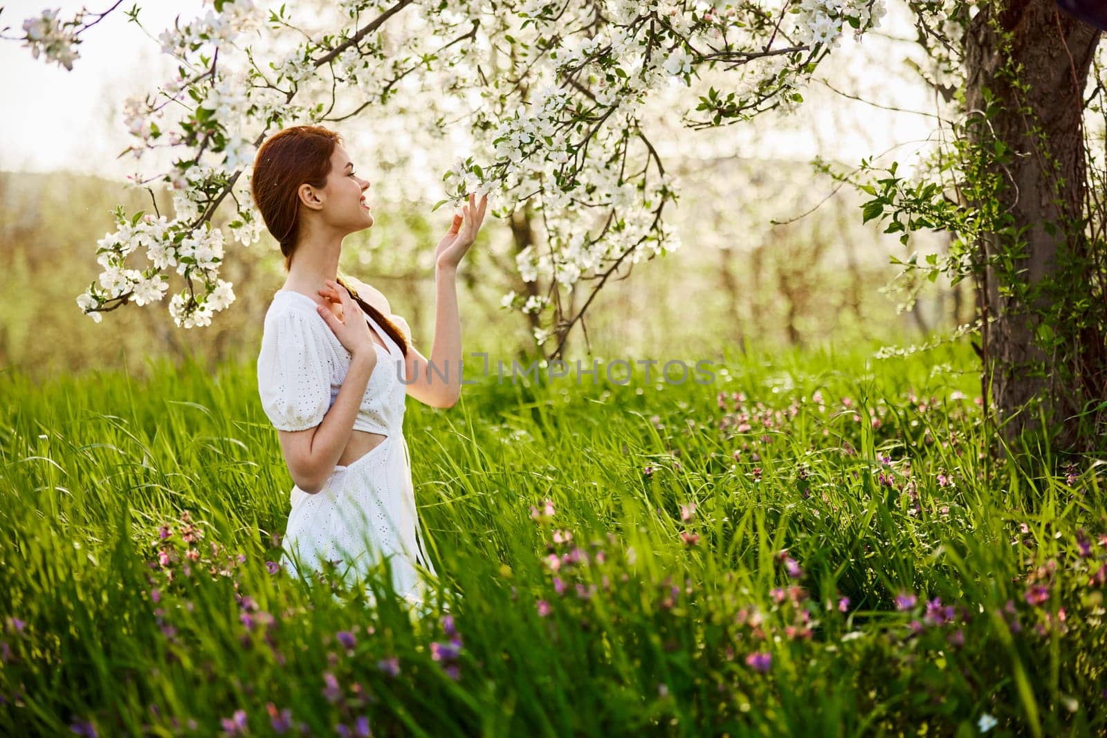 a beautiful woman in a light dress stands next to a flowering tree and smells the flowers. High quality photo