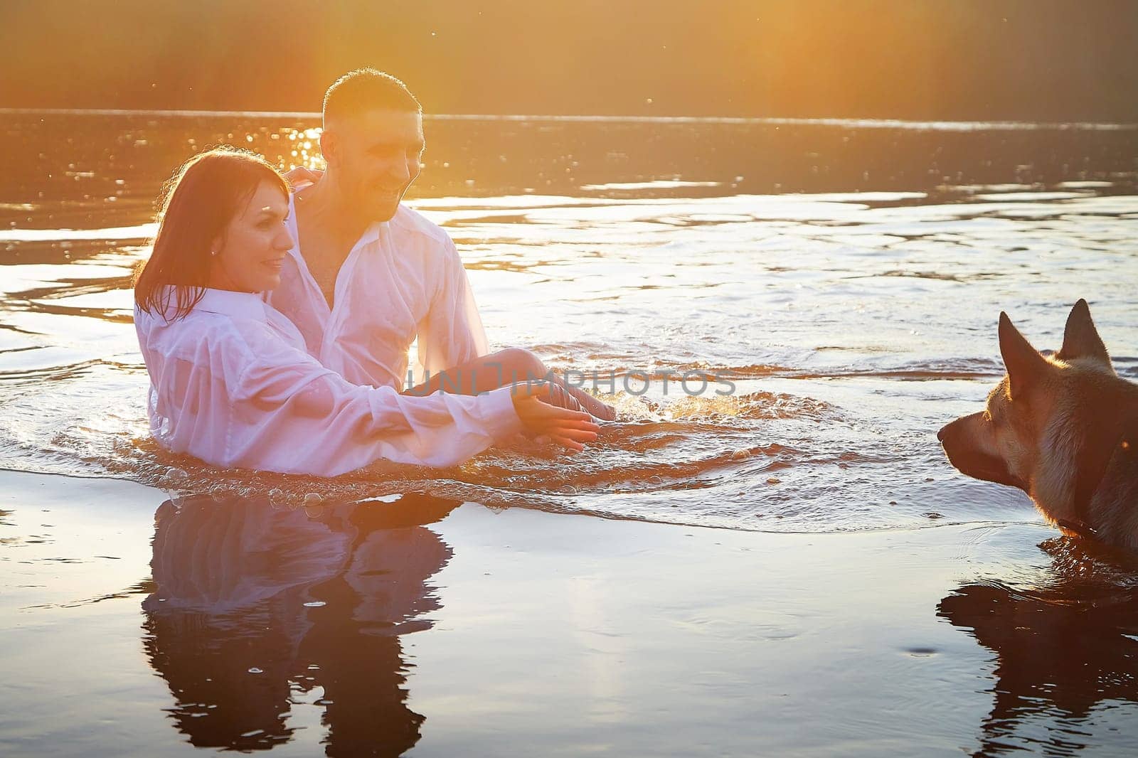 Beautiful adult couple has fun with bug dog shephers on nature in water of river or lake in summer evening at sunset. Guy and girl swim and relax with pet outdoors in clothes in white shirts and jeans