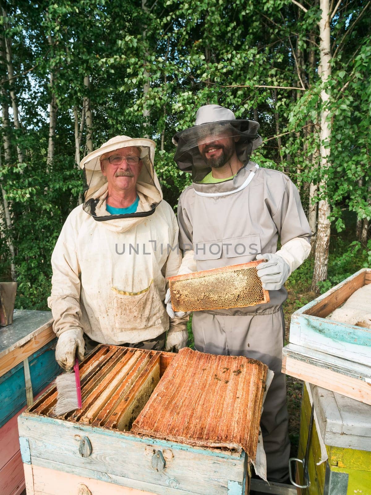 Beekeeper removing honeycomb from beehive. Person in beekeeper suit taking honey from hive. Farmer wearing bee suit working with honeycomb in apiary. Beekeeping in countryside - organic farming by Satura86
