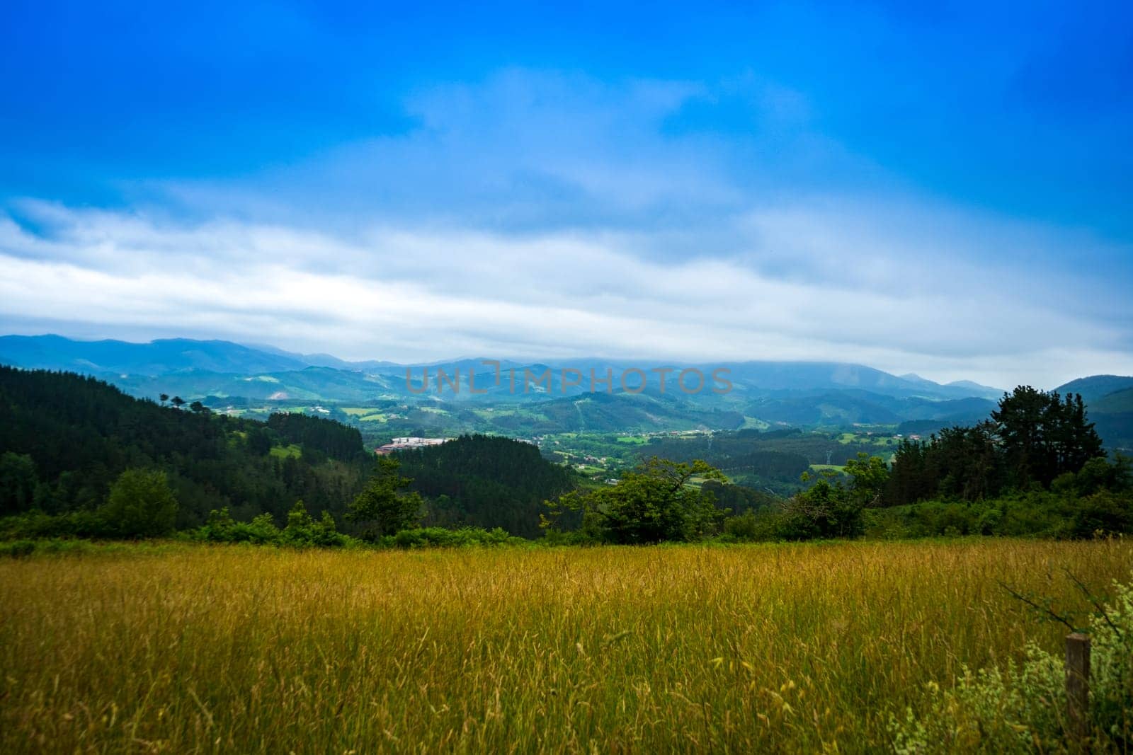landscape in mountains. grassy field and rolling hills out of focus. rural scenery. Basque country, Spain