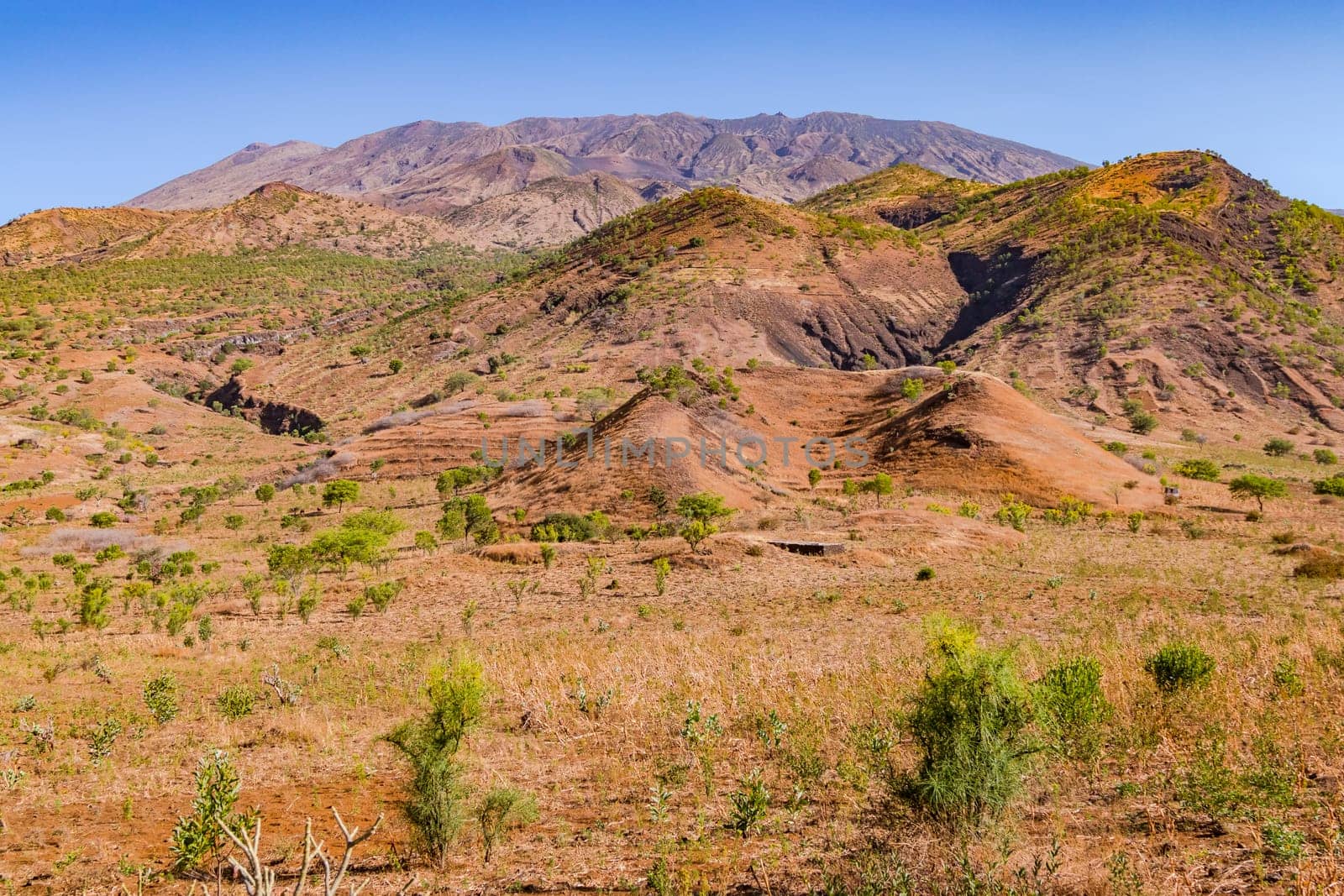 A picturesque mountain slope formed by volcanism overgrown with grass and bushes, Fogo Island, Cape Verde Islands