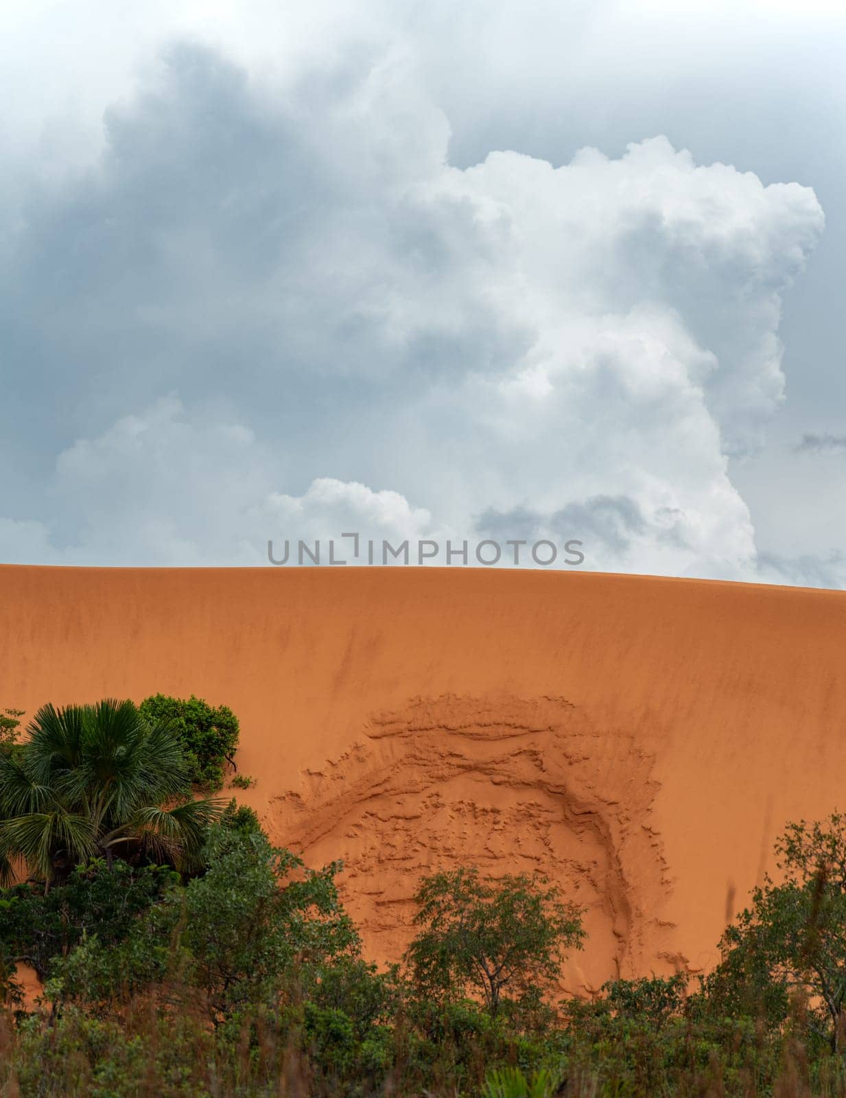 A magnificent sand dune rises above a lush green jungle under a cloudy sky. Perfect for text space, this photo conveys solitude, isolation, and distance. Location: Jalapao.