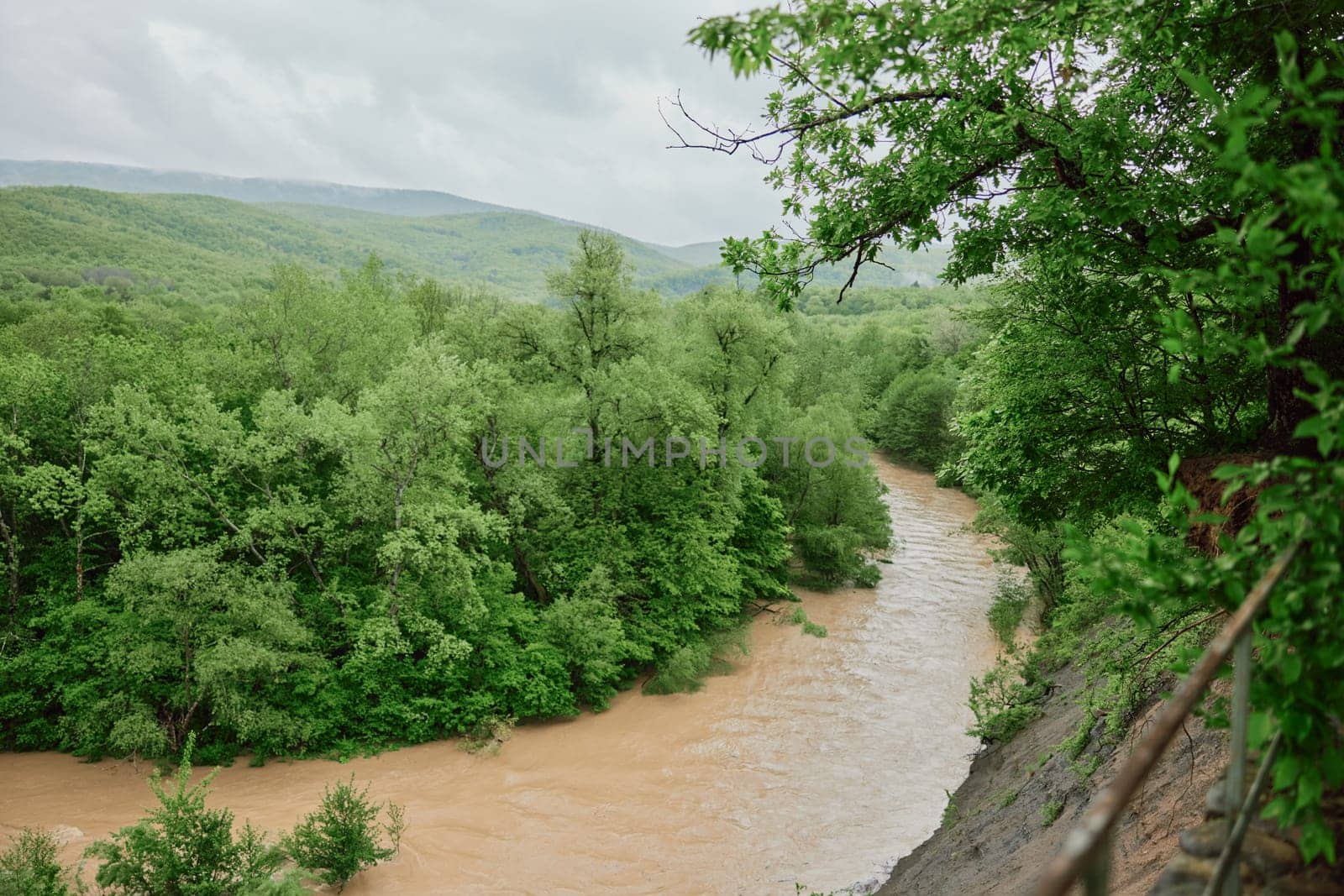 mountain river after rain flows in a forest area by Vichizh