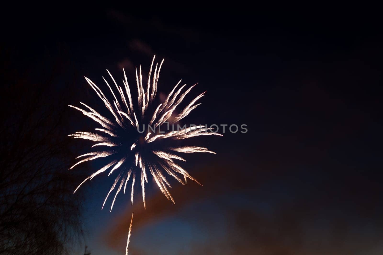 fireworks in the night sky by EkaterinaPereslavtseva