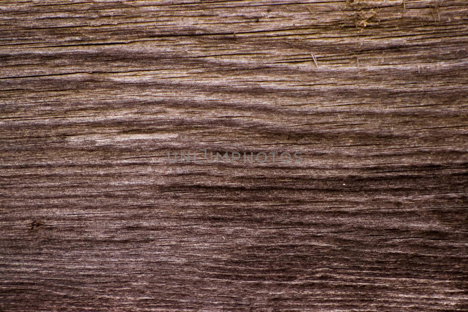 The texture of the old coniferous wood planks darkened with age. Fibers and convolutions are directed with a bend. Vintage background.