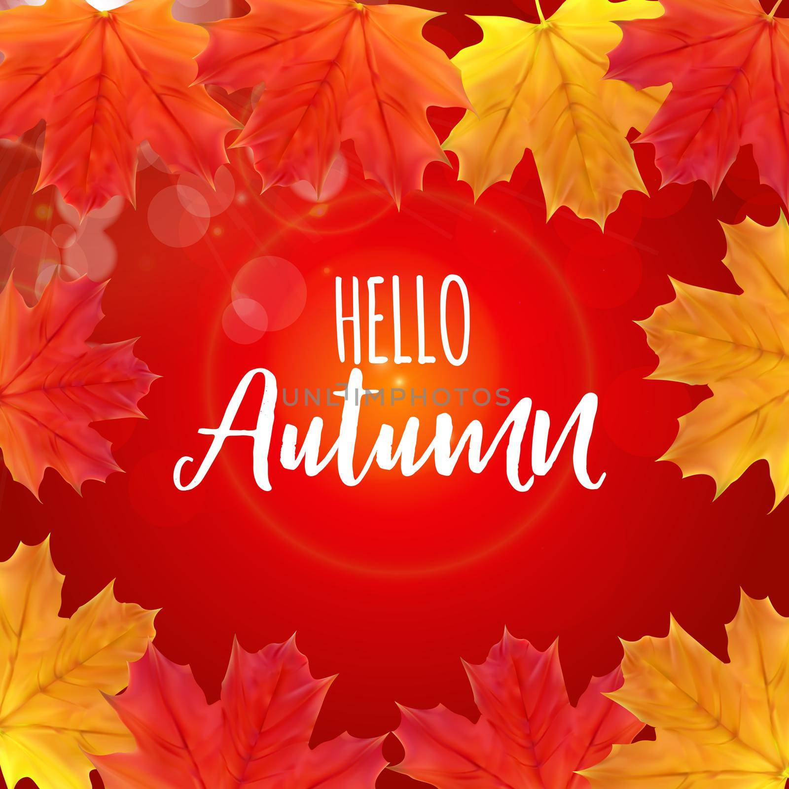 Shiny Hello Autumn Natural Leaves Background. Vector Illustration by yganko