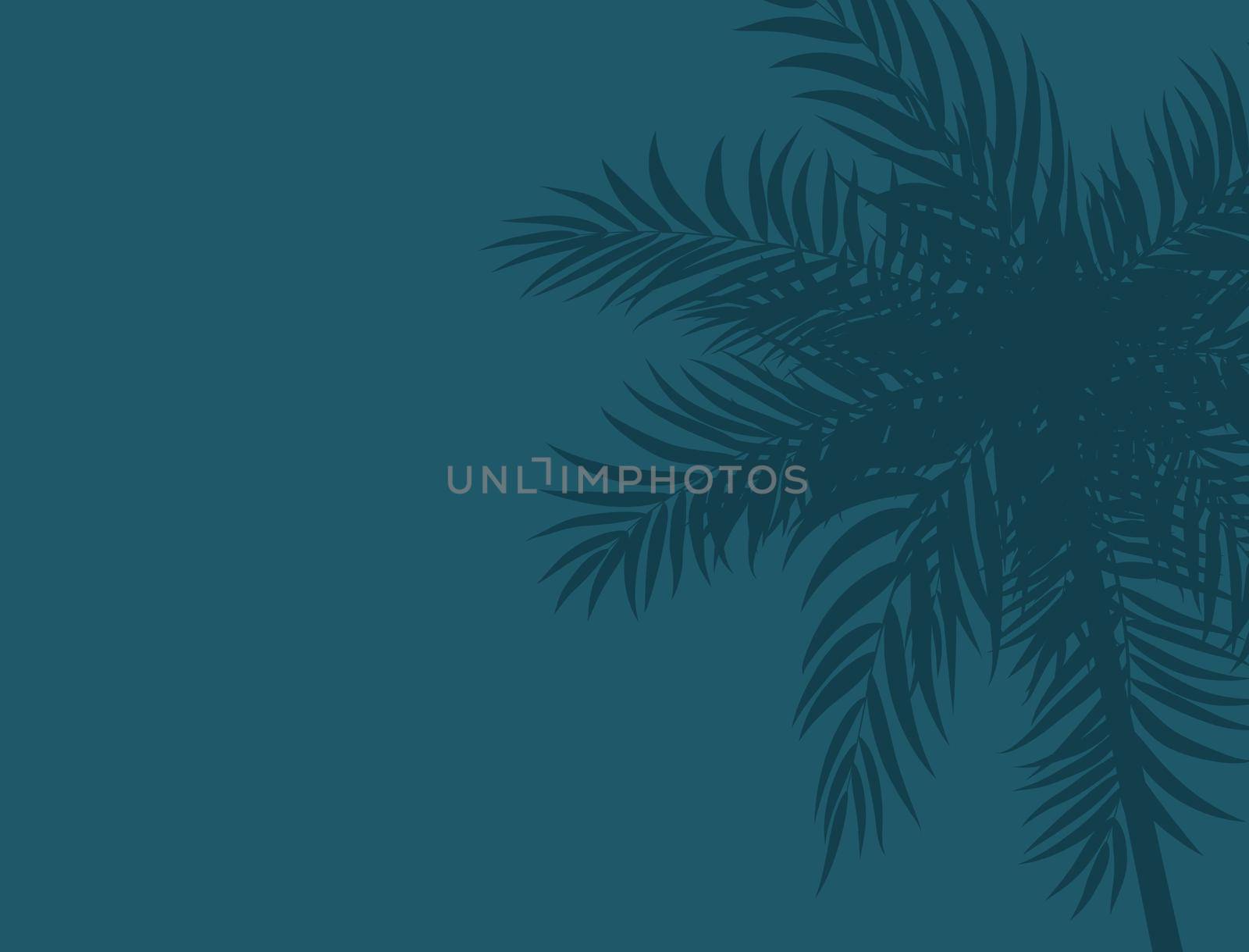 Beautifil Palm Tree Leaf Silhouette Background Vector Illustration EPS10