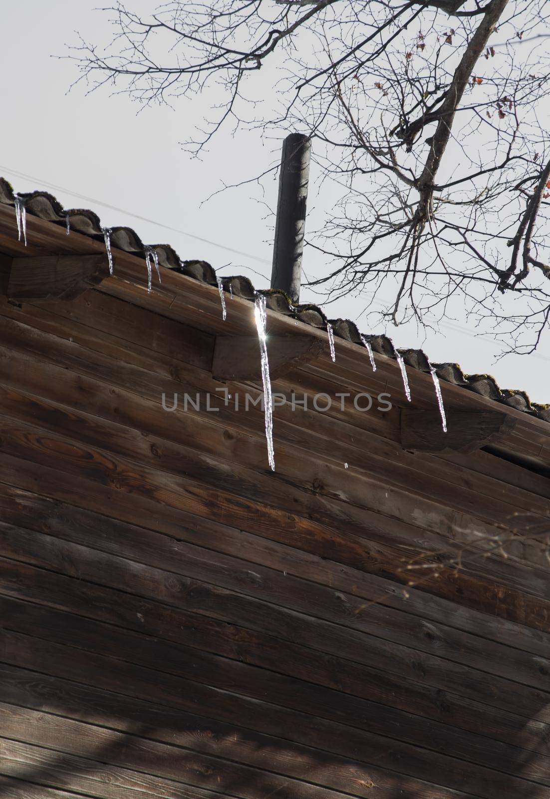 Small icicles hang from the roof of a wooden house and glisten in the sun. Against the background of a gray sky, branches of a tall tree. Abnormal weather concept. New Year's and Christmas is over.