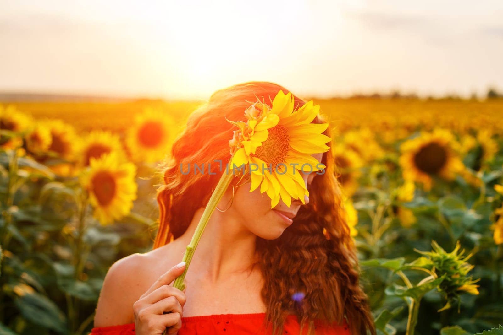 Cute young woman is holding sunflower in her hand while standing in field at sunset. Beautiful gentle girl of Caucasian ethnicity in red dress in the rays of setting sun. The concept of natural