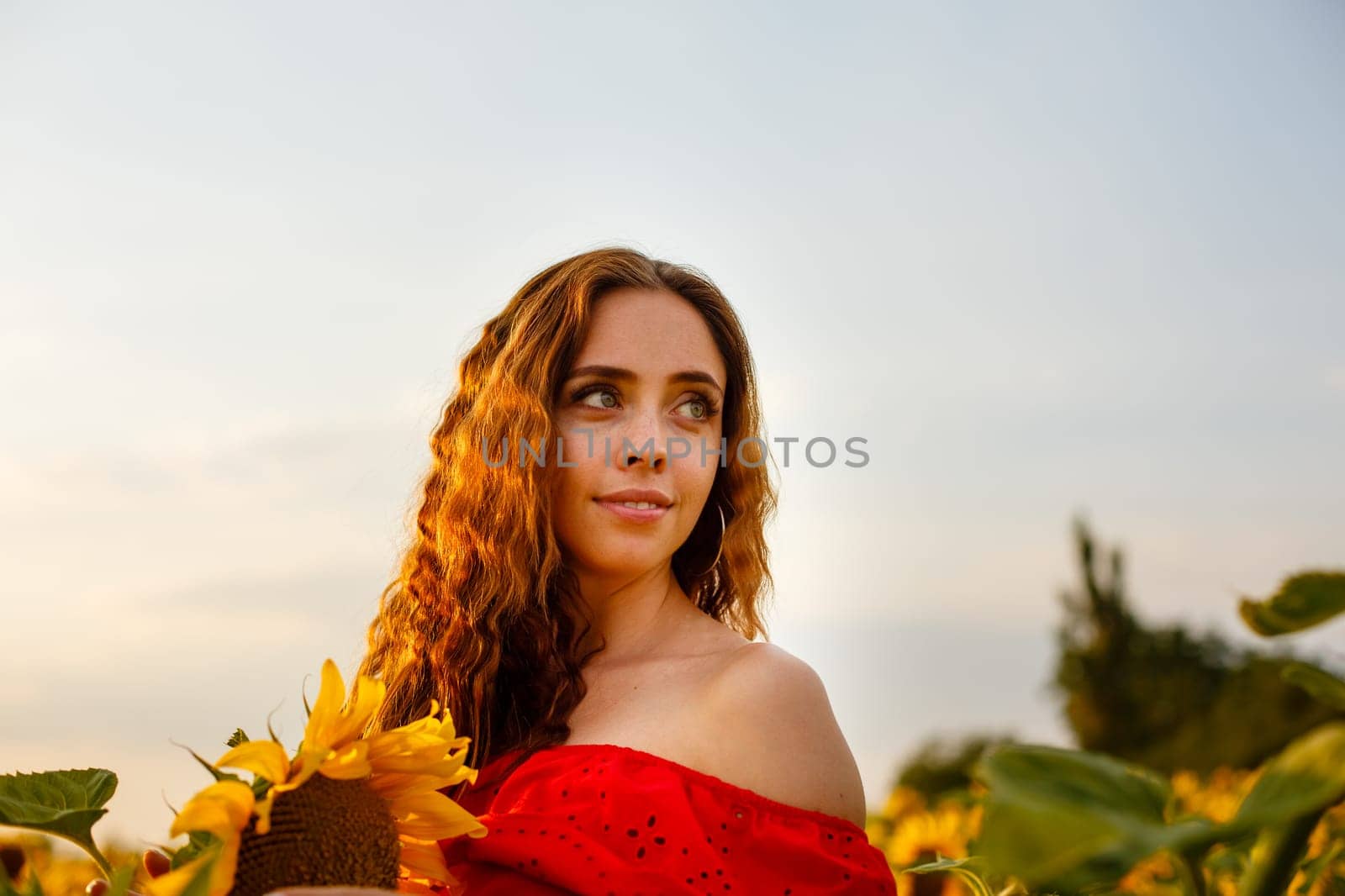 Young woman smiling at sunset in a field of sunflowers. A cute girl of Caucasian appearance in a red dress is happy and free to stand in the evening in the rays. Natural beauty in nature